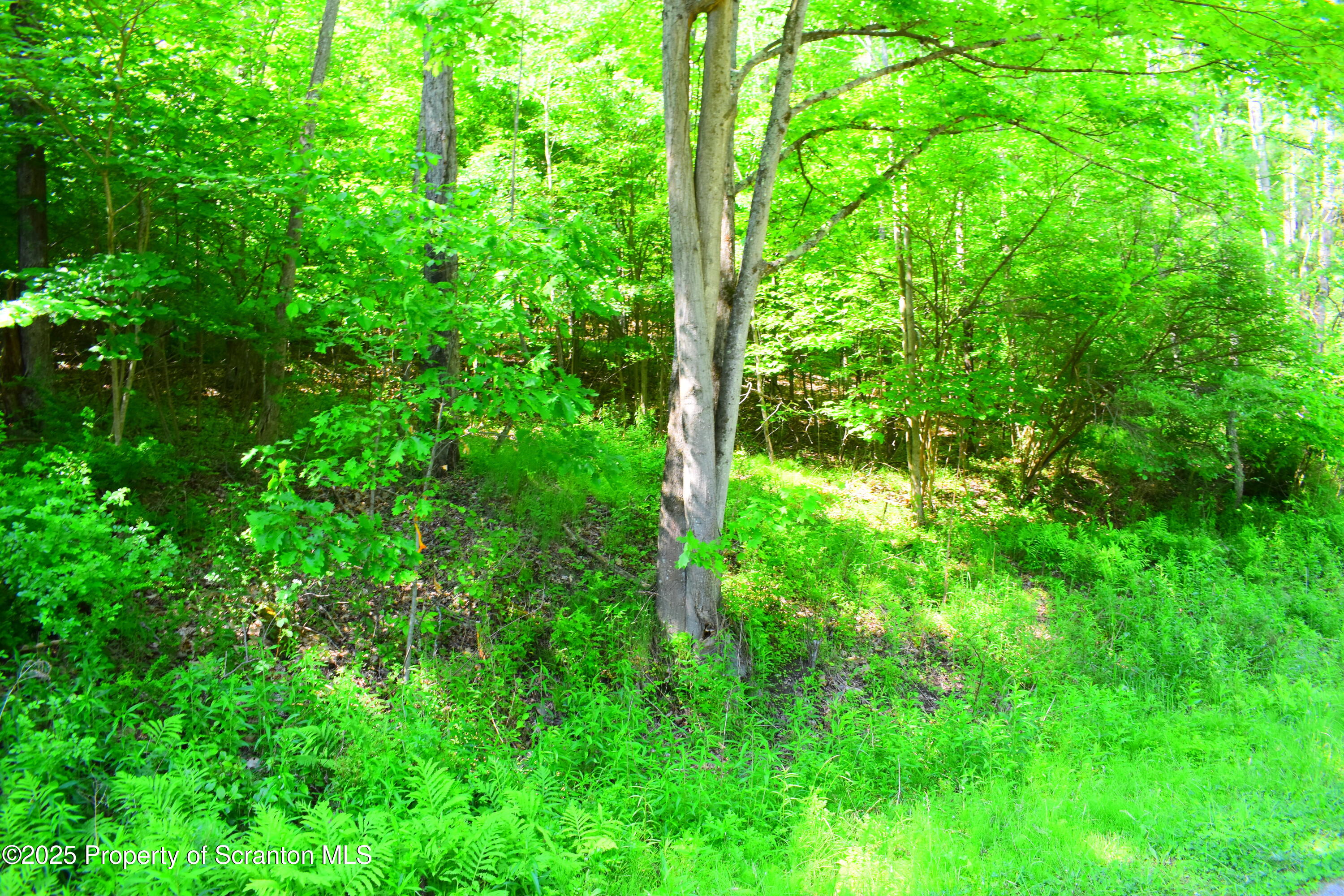 State Route 92, Susquehanna, Pennsylvania, 18847, United States, ,Land,For Sale,State Route 92,1665959