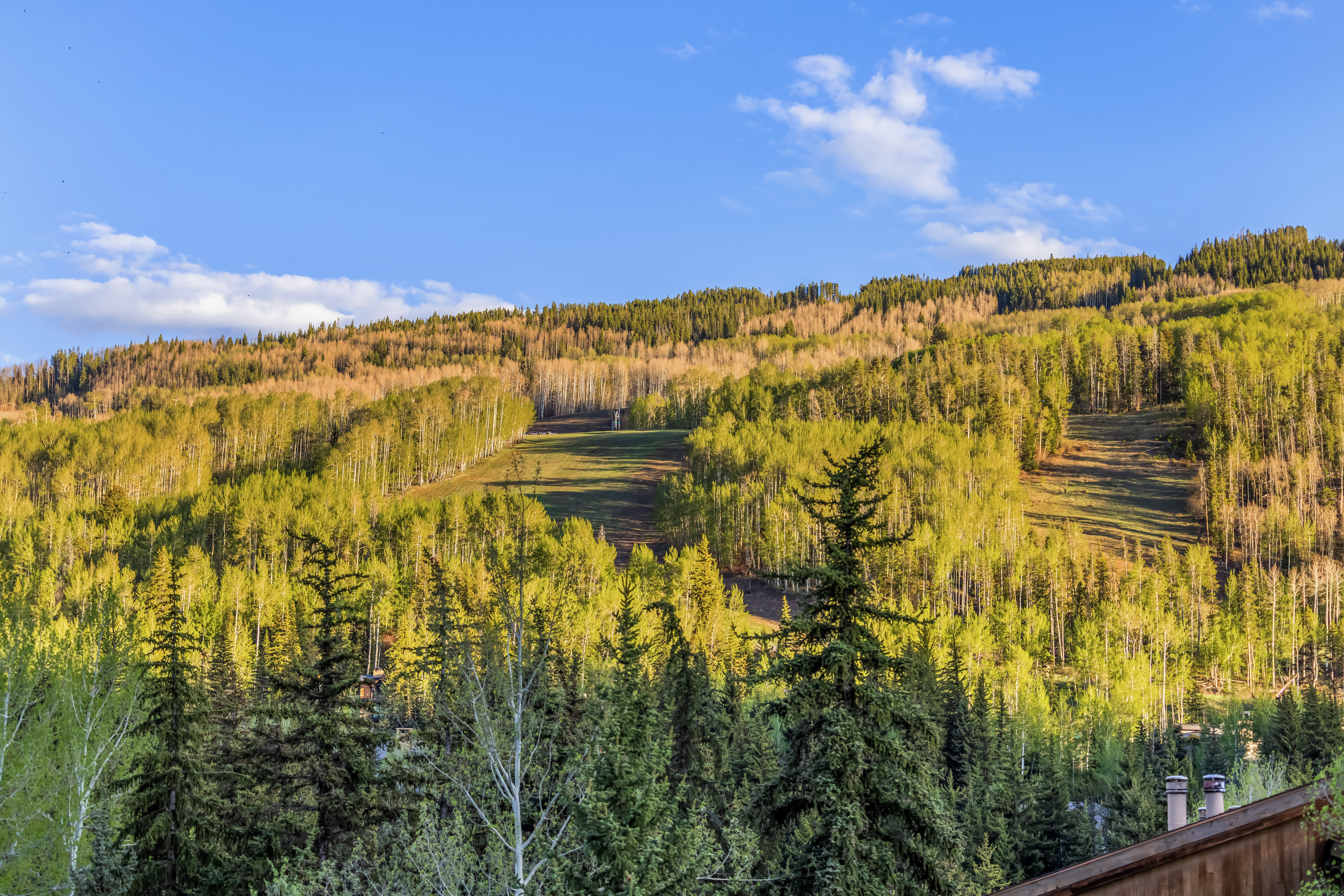 Turnkey, Beautifully Renovated, Single Fourth-Floor View of the Ski Slopes - 物件實景