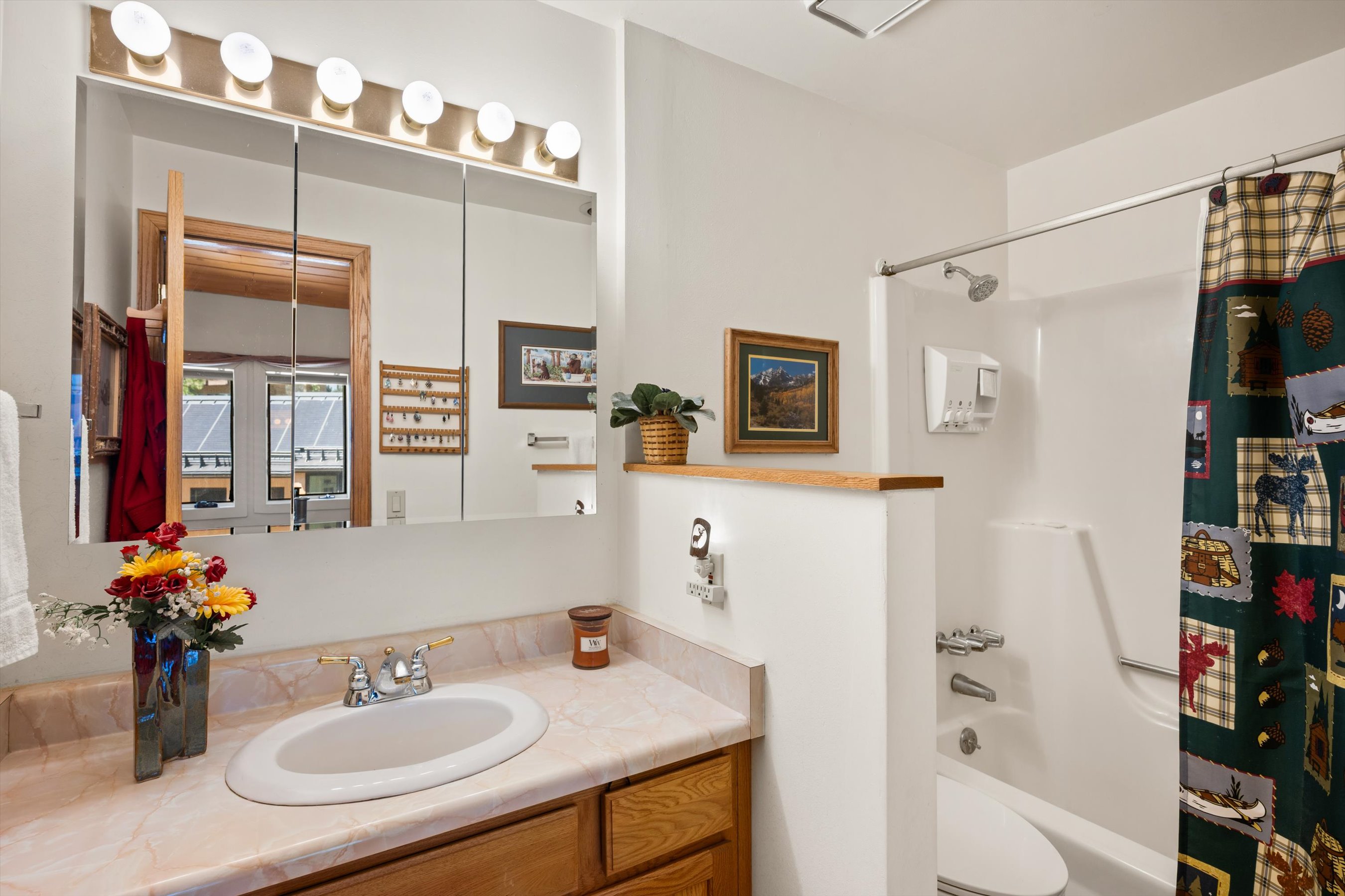  35 Upper Woodbridge Road, Snowmass Village, CO, 81615 - 物件實景