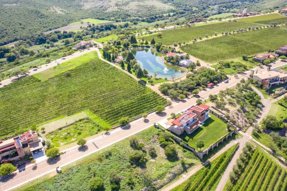 Malbec, San Miguel de Allende, Guanajuato, 37898, Mexico, 1 Bedroom Bedrooms, ,Residential,For Sale,Malbec,1443711