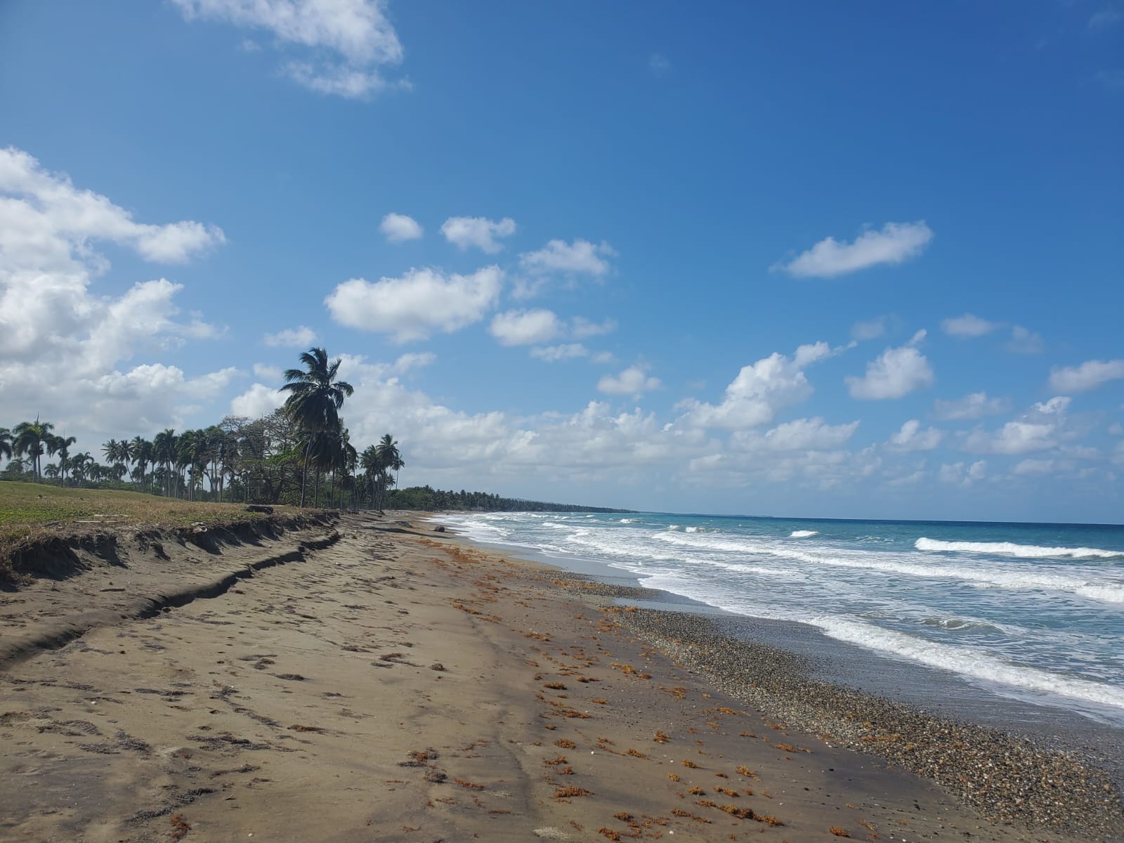 Cabarete, DO, ,Land,For Sale,1403048