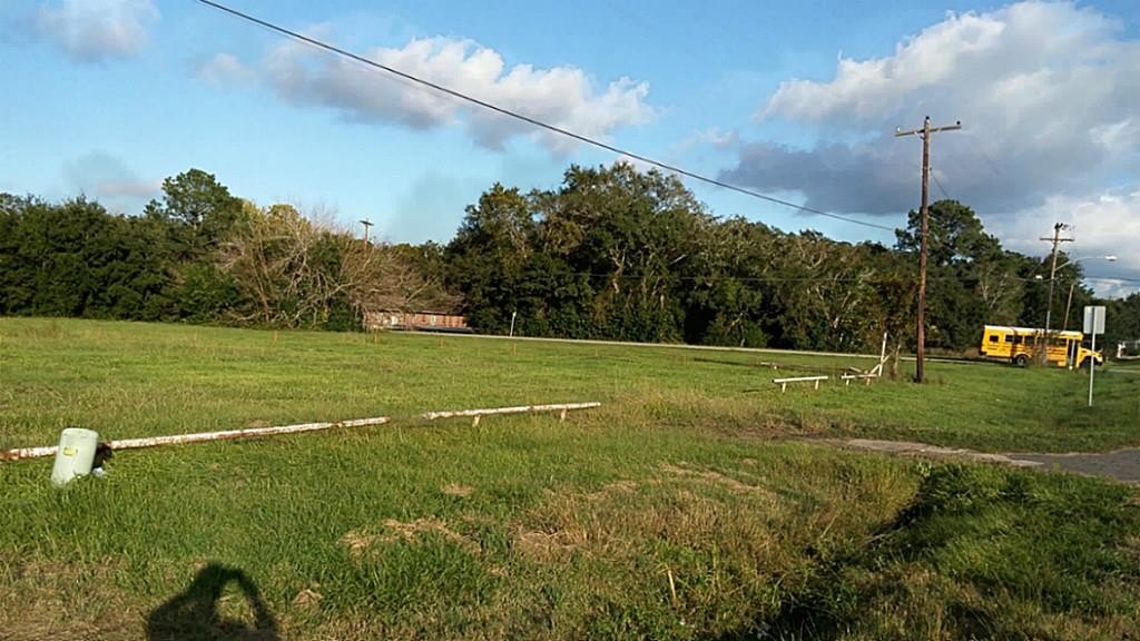 Alvin, Texas, 77511, United States, ,Land,For Sale,1974520