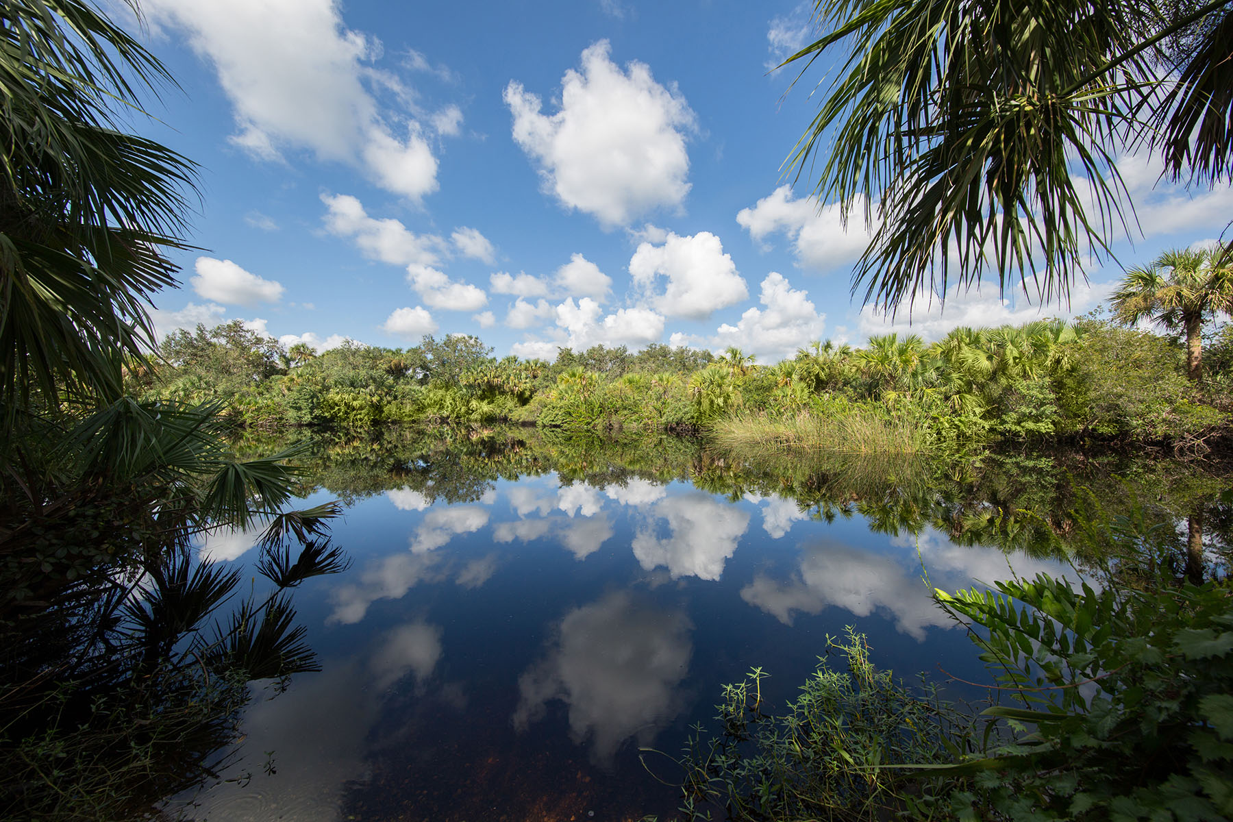  NORTH PORT - 物件實景