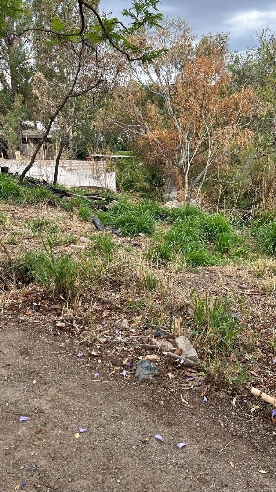 Av. Bosques de San Isidro Sur, Zapopan, Jalisco, 45133, Mexico, 1 Bedroom Bedrooms, ,Residential,For Sale,Av. Bosques de San Isidro Sur,1588840