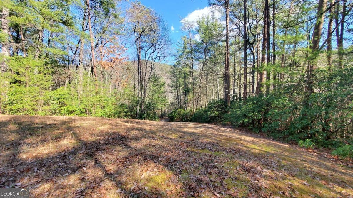 Cherry Log, Georgia, 30522, United States, ,Land,For Sale,1859131