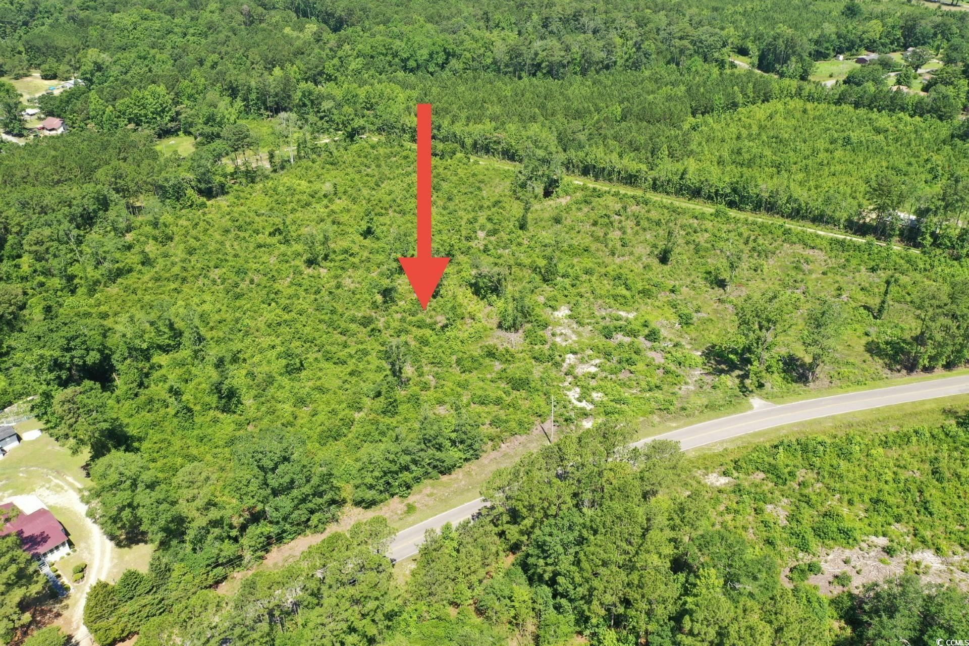 Longs, South Carolina, 29568, United States, ,Land,For Sale,1976577