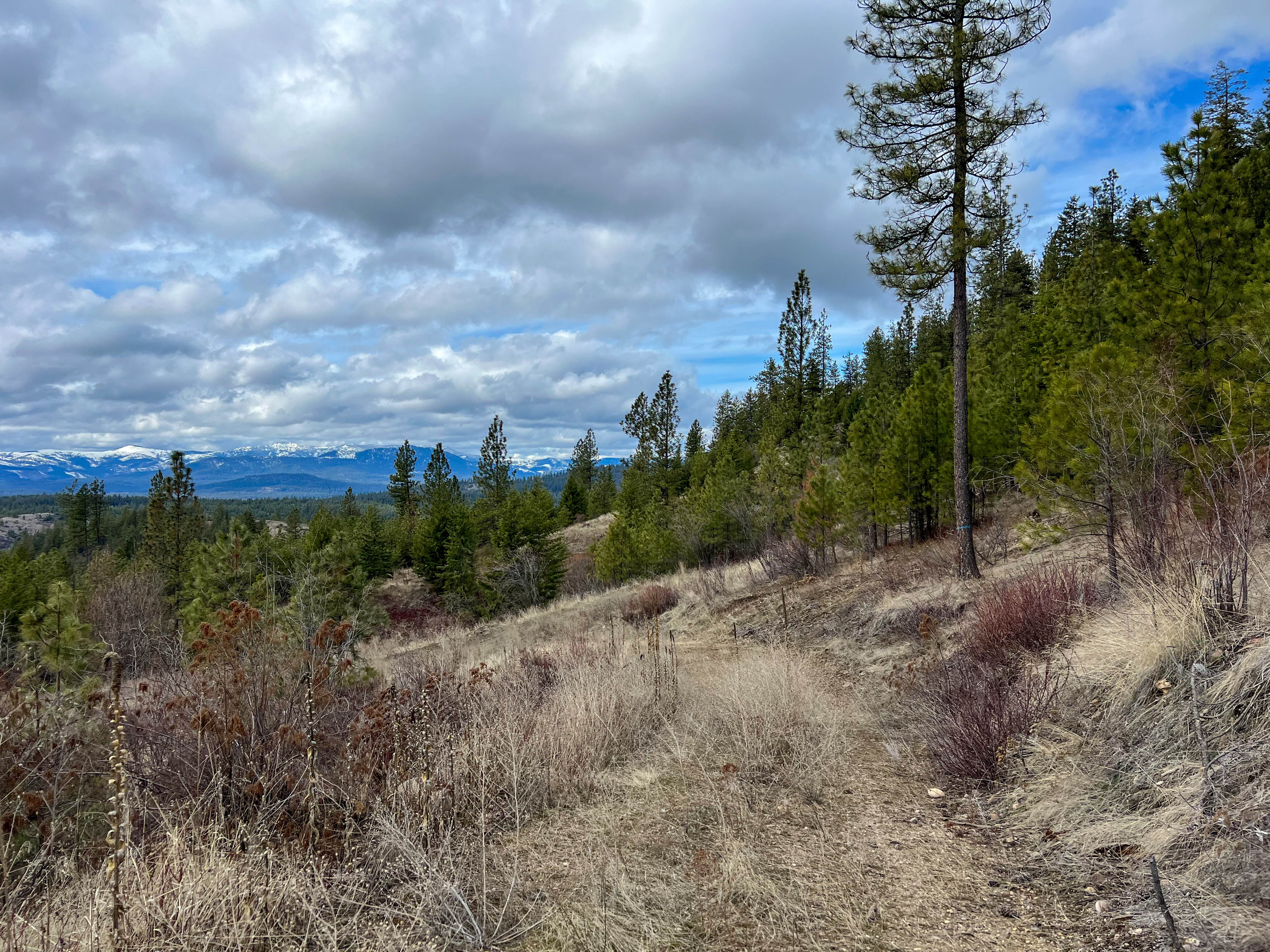 Valley, Washington, 99181, United States, ,Land,For Sale,1979391