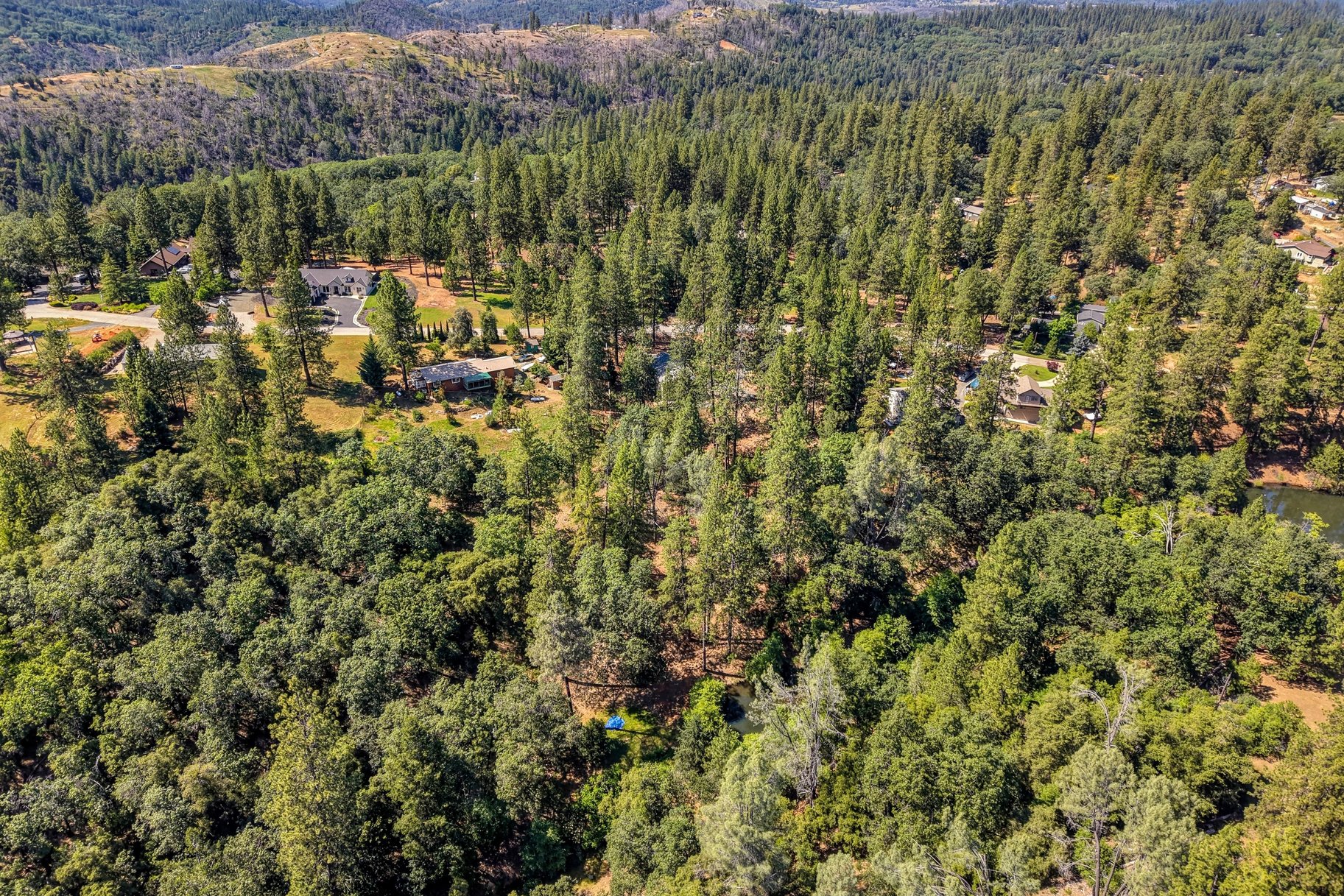  Immaculately Maintained Country Retreat on Acreage with pond - 物件實景