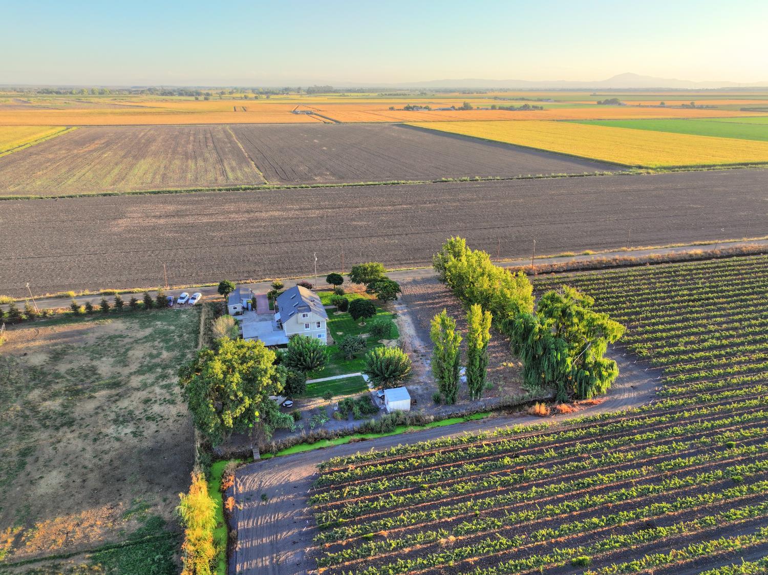 Walnut Grove, California, 95690, United States, 5 Bedrooms Bedrooms, ,3 BathroomsBathrooms,Residential,For Sale,1957042