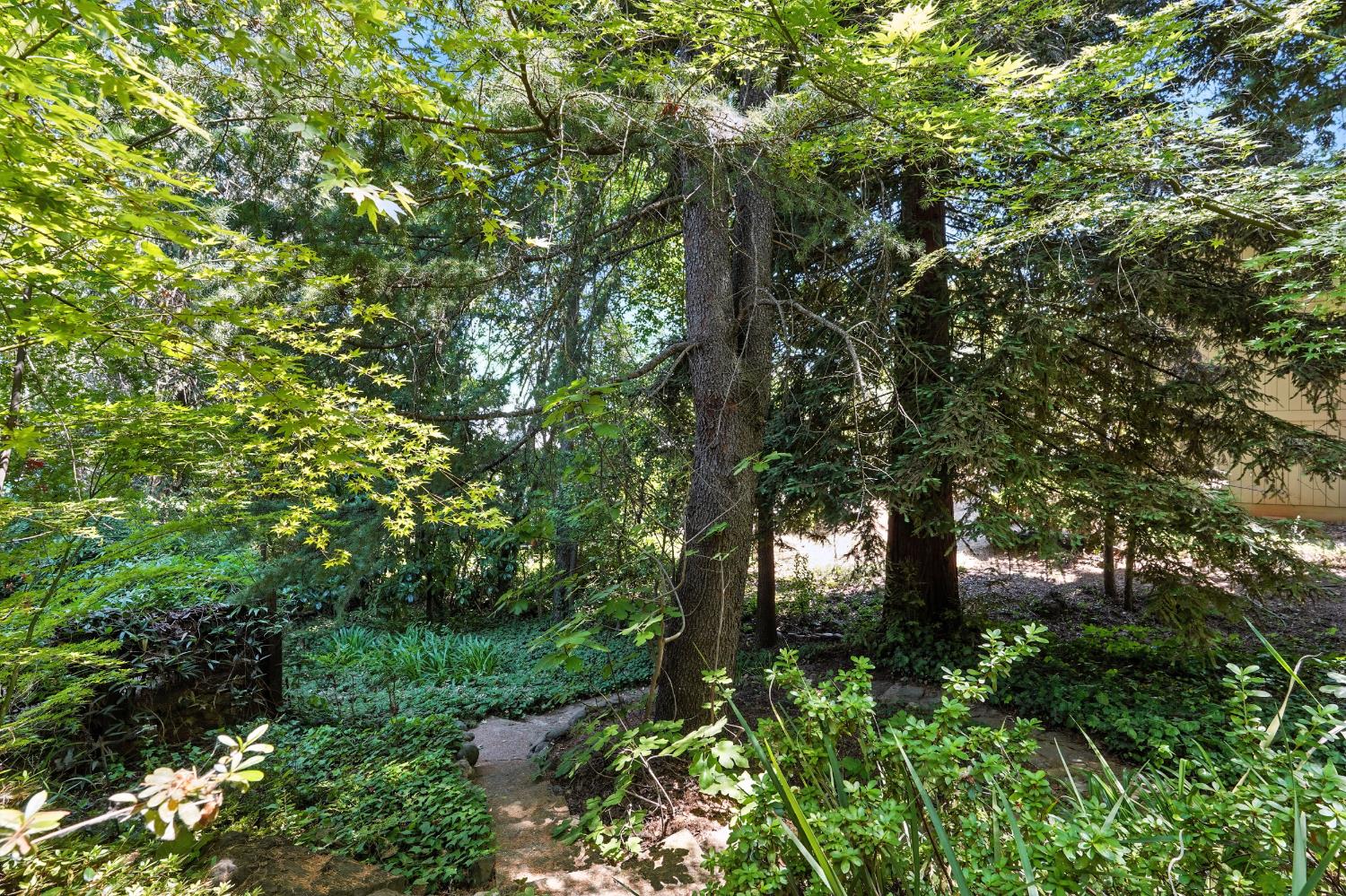 Auburn, California, 95603, United States, 3 Bedrooms Bedrooms, ,3 BathroomsBathrooms,Residential,For Sale,1955414