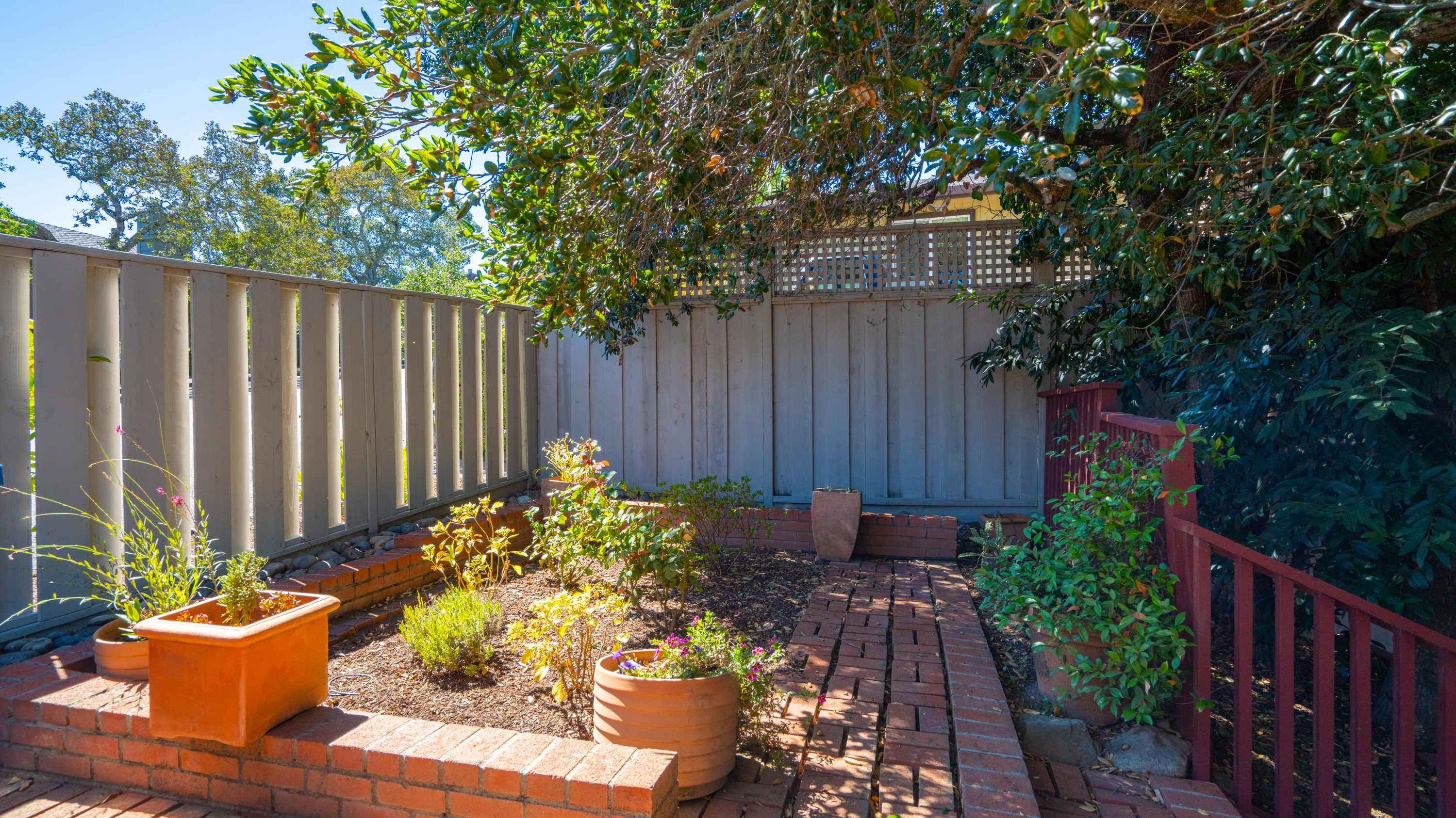  Panoramic Views in Private East Novato - 物件實景
