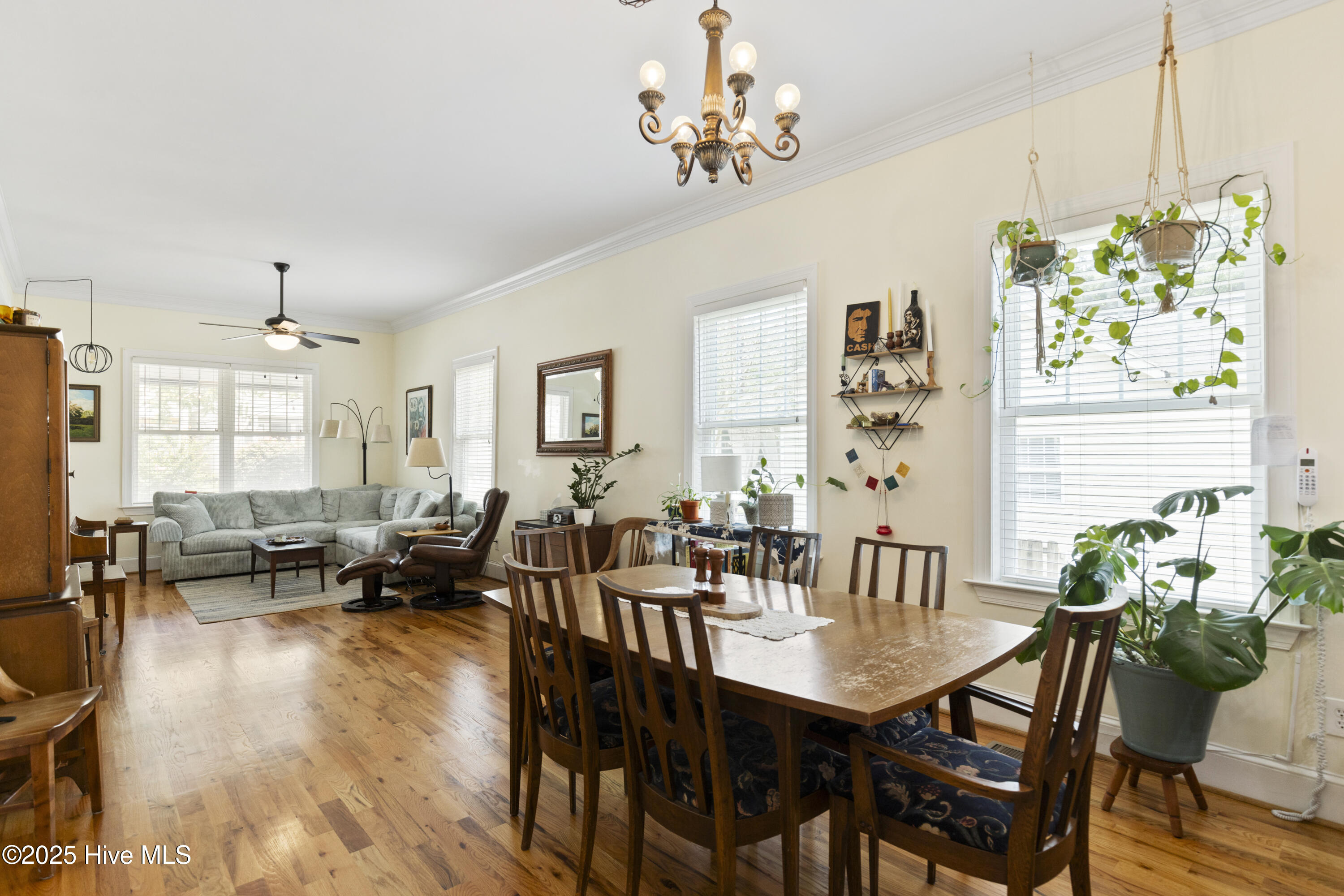 Wilmington, North Carolina, 28401, United States, 4 Bedrooms Bedrooms, ,3 BathroomsBathrooms,Residential,For Sale,1882857