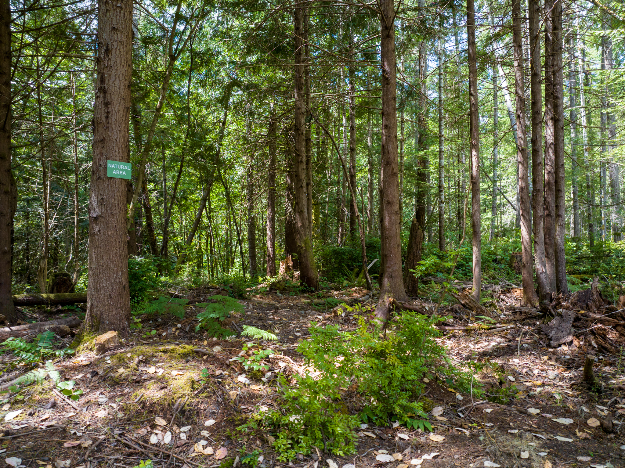  Lot A Bucsit Lane Northeast, Bainbridge Island, WA 98110 - 物件實景