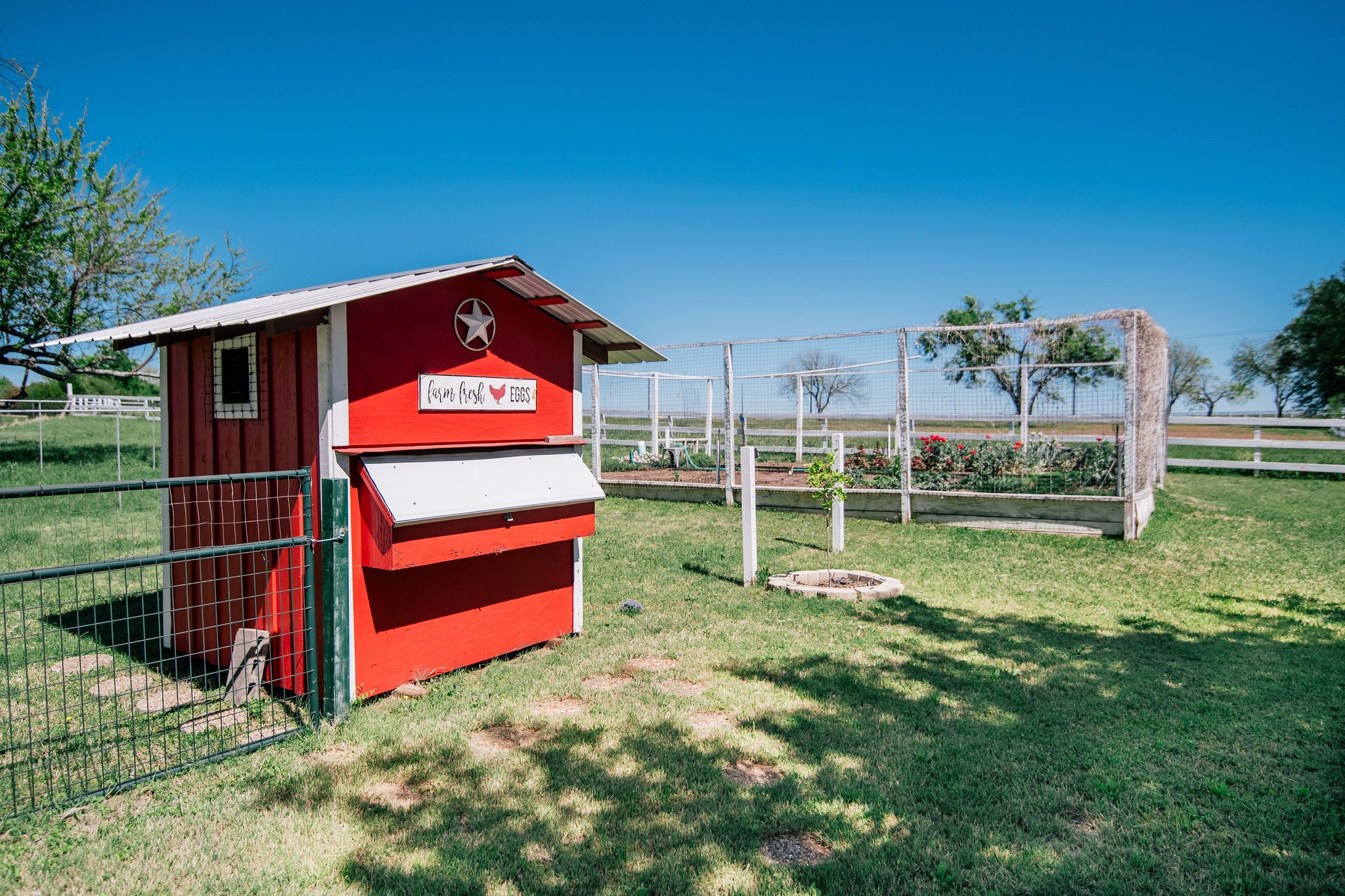  9325 FM 428, Aubrey, TX 76227 - 物件實景