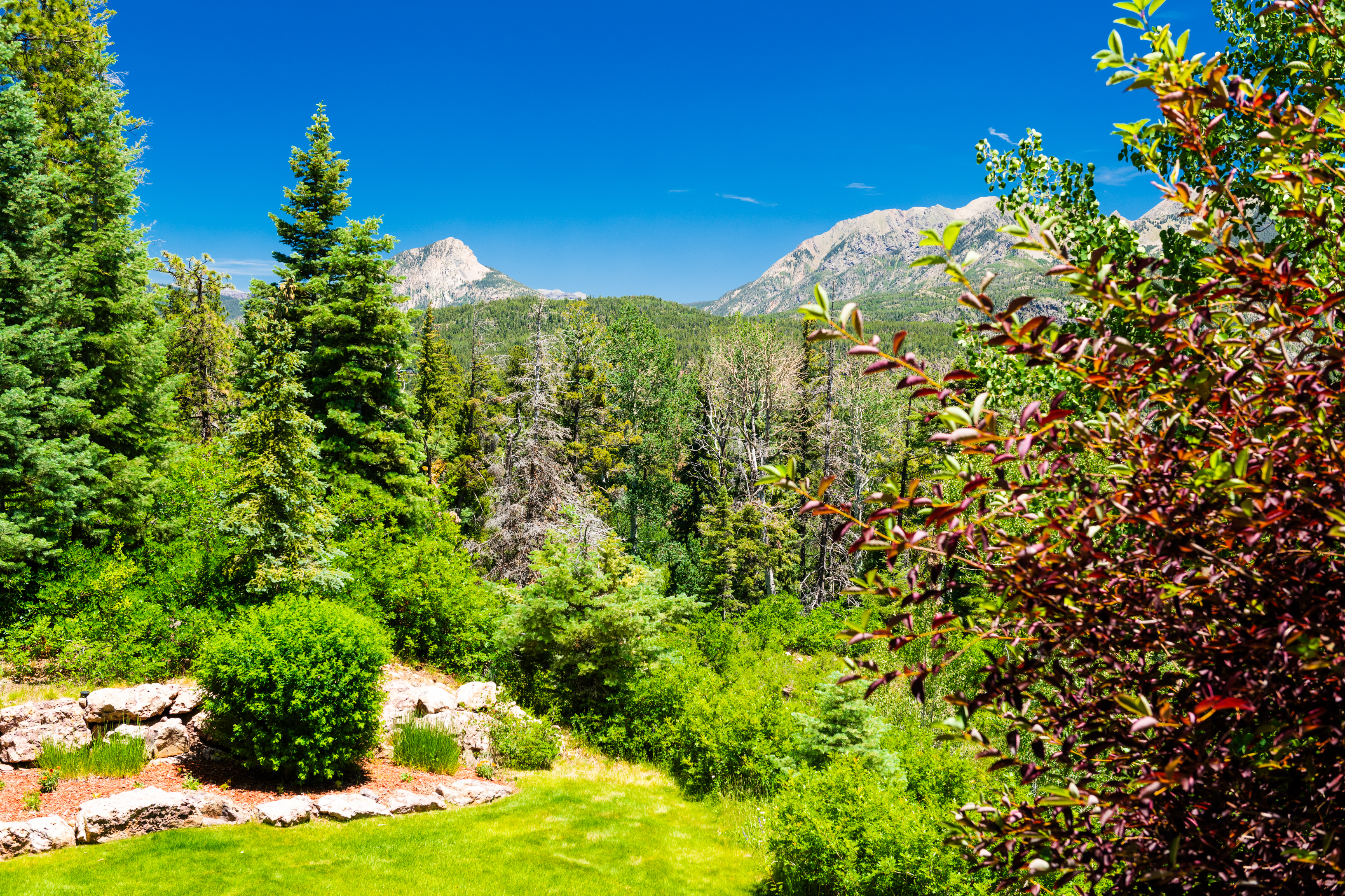  421 South Windom Way, Durango, CO 81301 - 物件實景