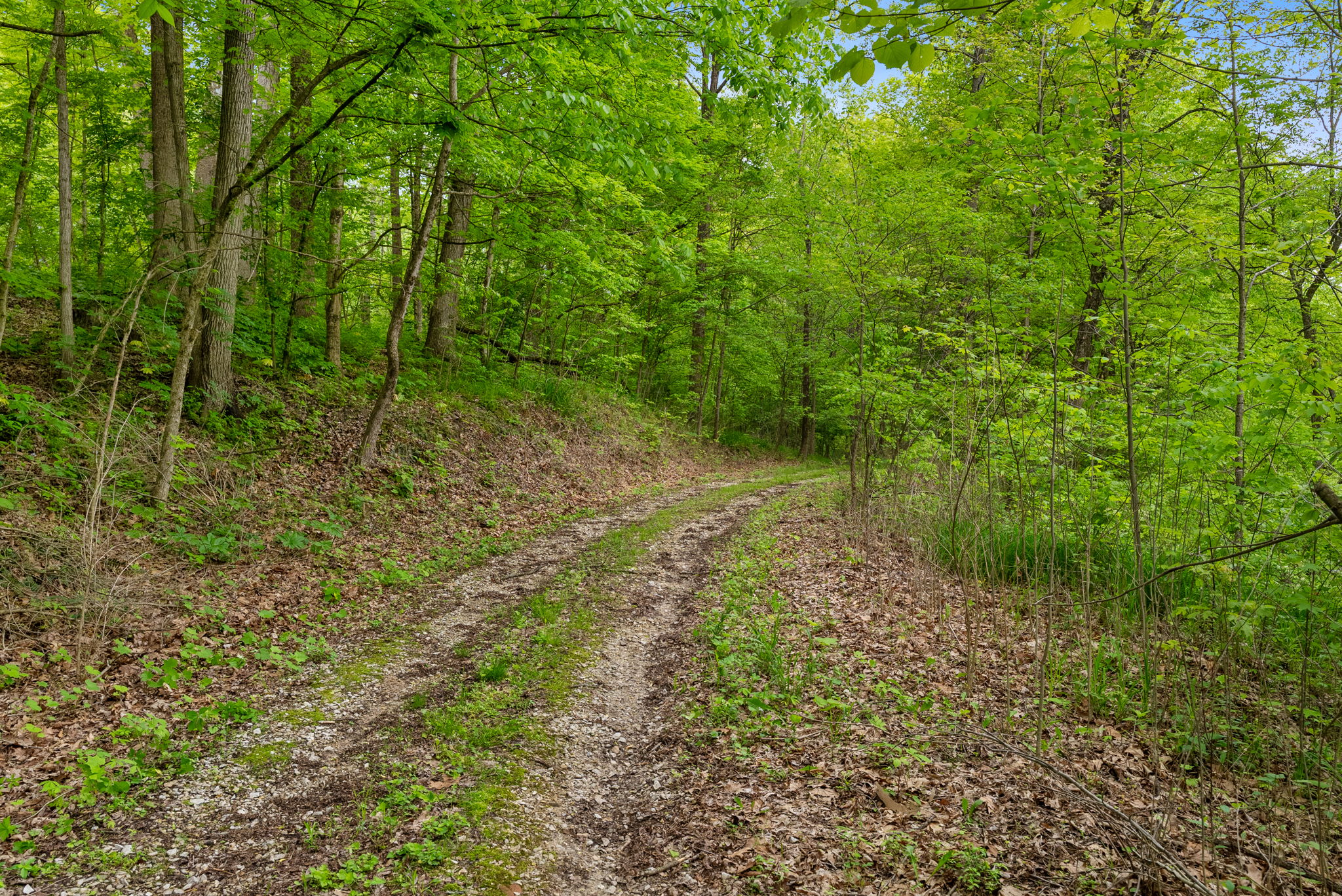 Rosedale, Indiana, 47874, United States, ,Land,For Sale,2049036