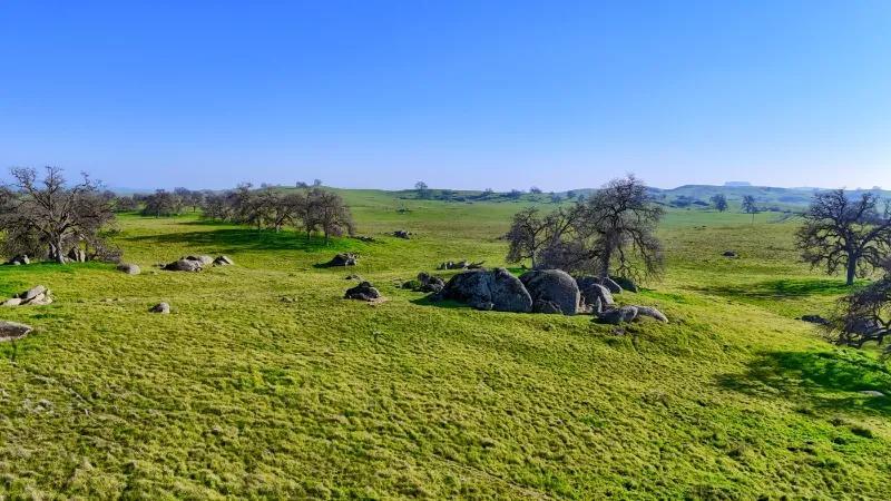 Madera, California, 93636, United States, ,Residential,For Sale,2014215