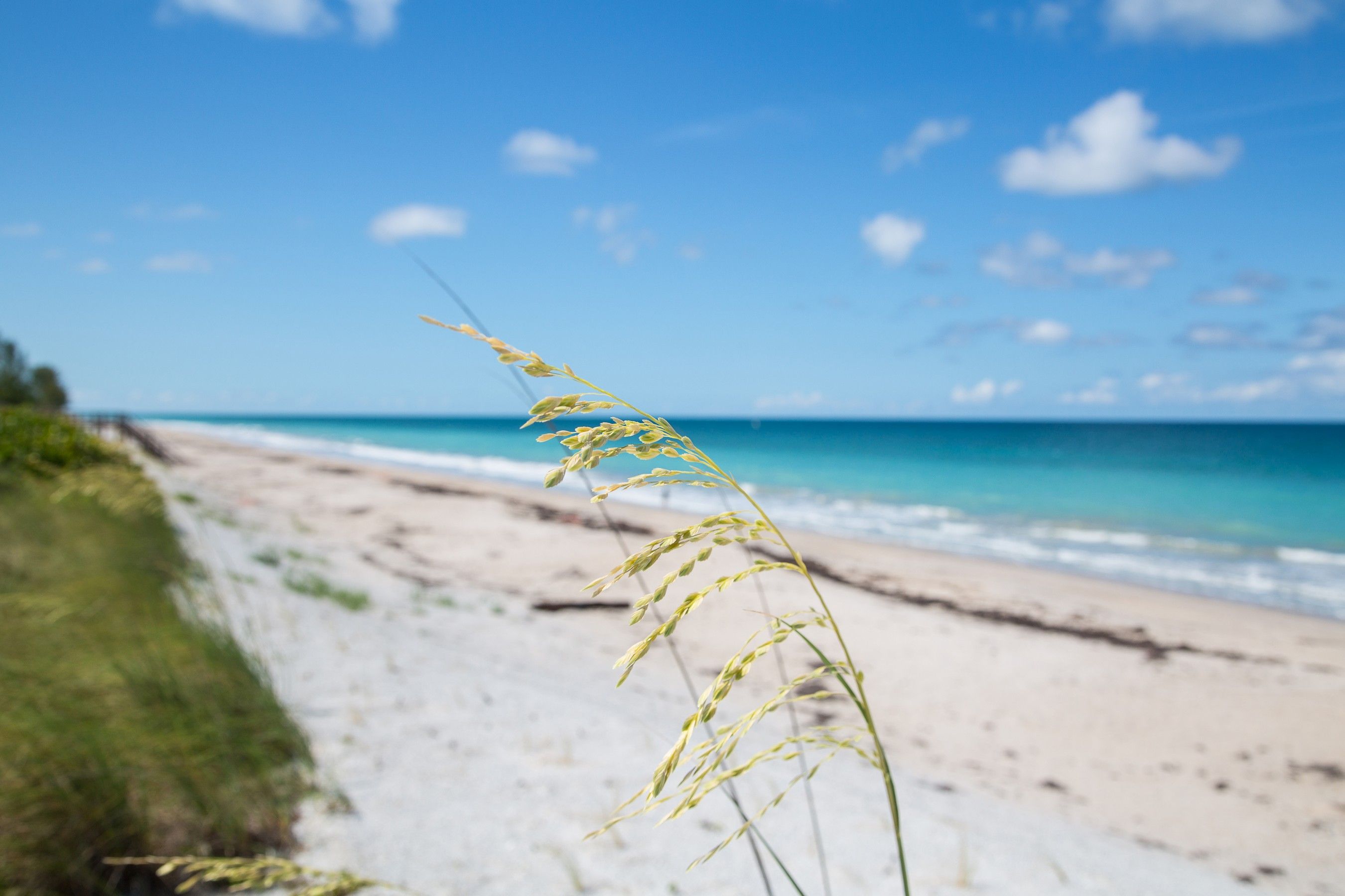  8427 Sabal Palm Court, Vero Beach, FL, 32963 - 物件實景