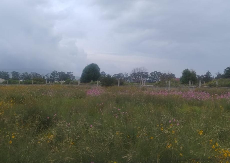 Jilotepec, Estado de méxico, 54250, Mexico, 1 Bedroom Bedrooms, ,Residential,For Sale,1940840