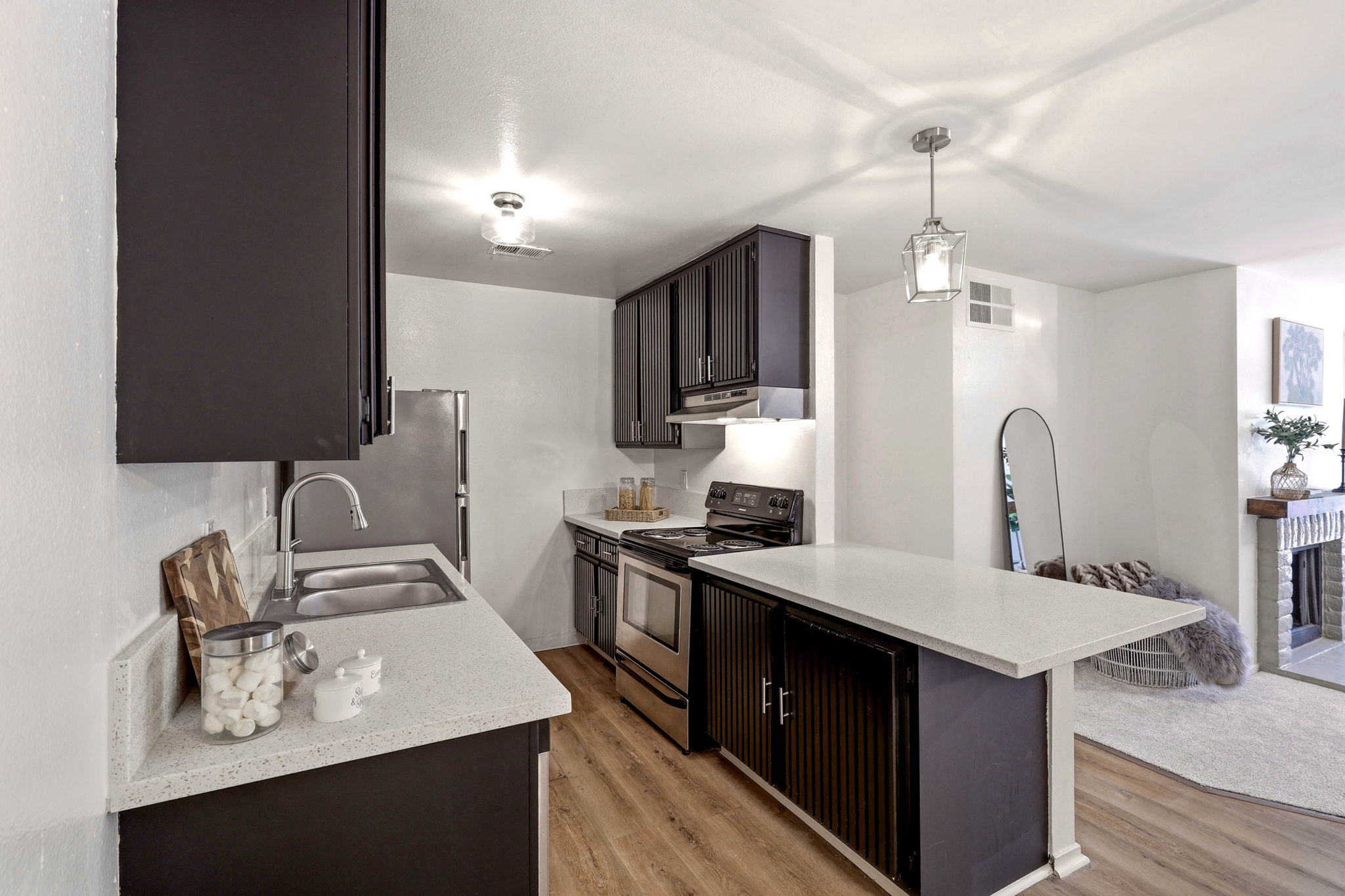  259 North Capitol Avenue, San Jose, CA 95127 - 物件實景