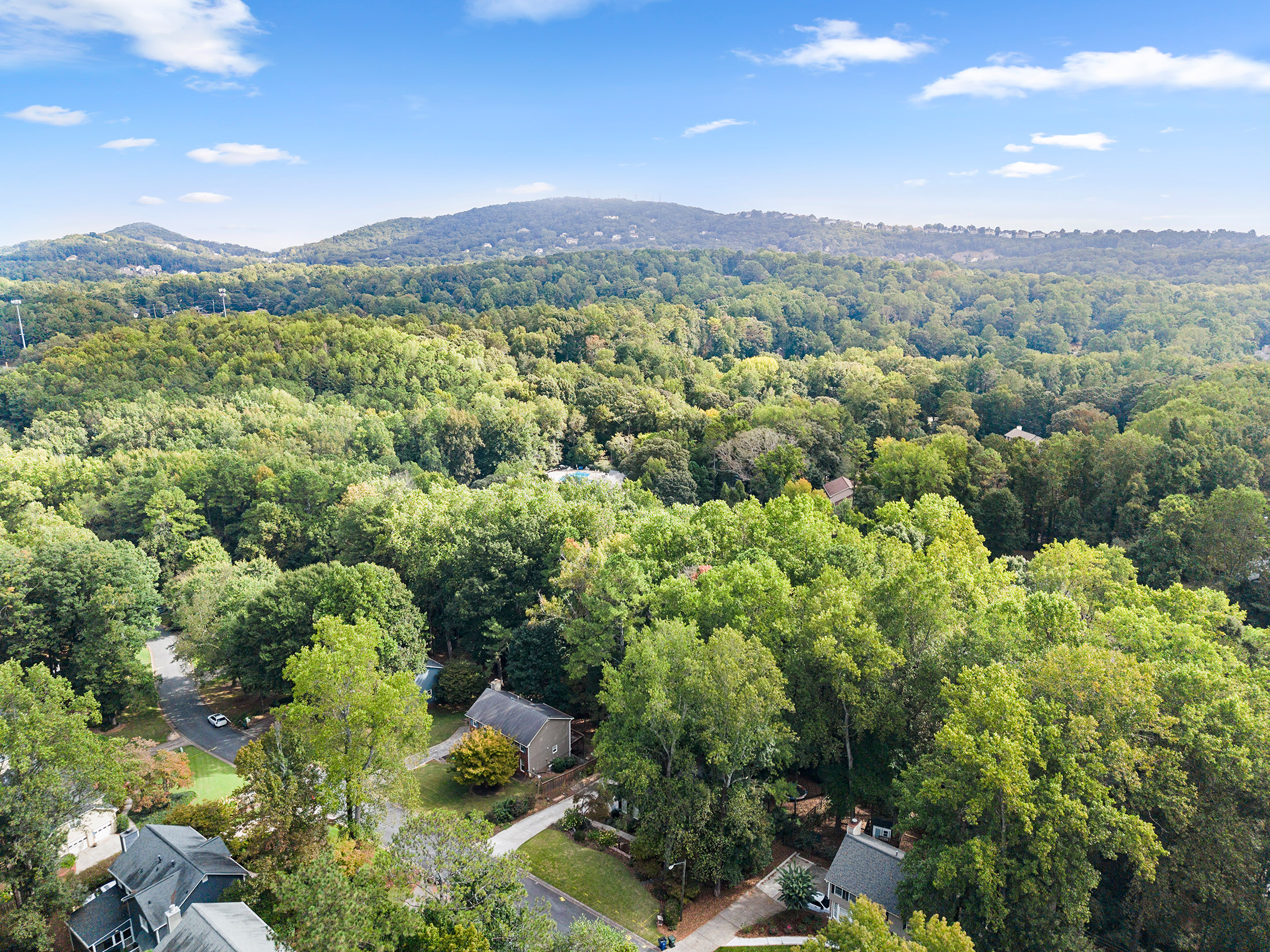  Beautifully Transformed Home in Lassiter School District - 物件實景