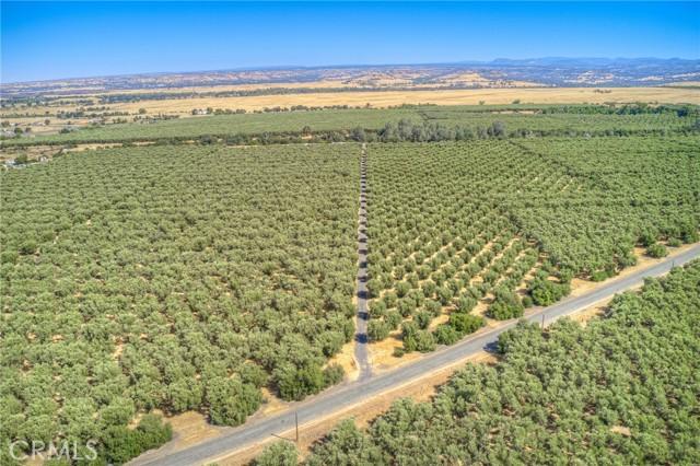 Oroville, California, 95965, United States, ,Land,For Sale,1978815