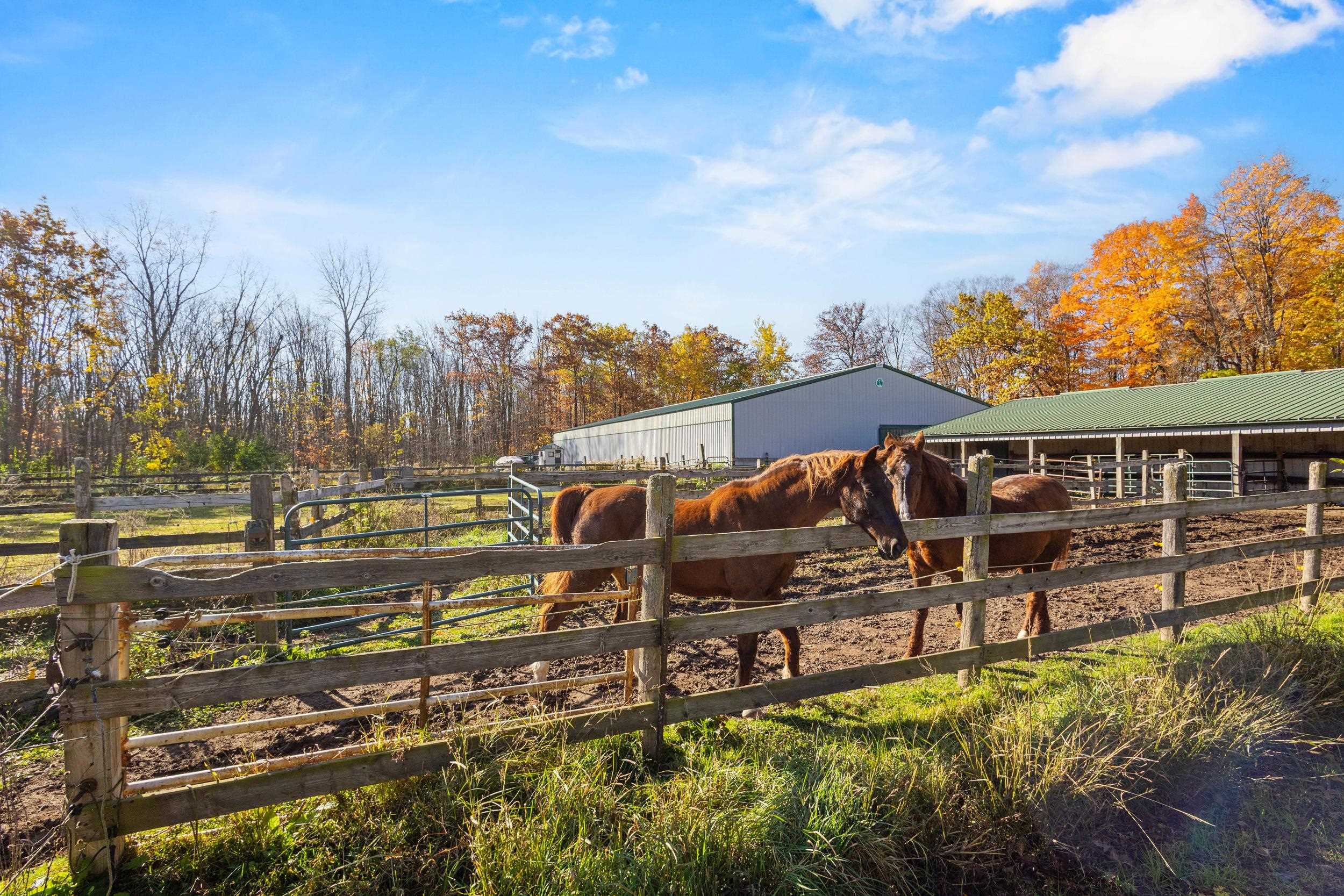 Shiocton, Wisconsin, 54170, United States, 3 Bedrooms Bedrooms, ,2 BathroomsBathrooms,Residential,For Sale,2035807