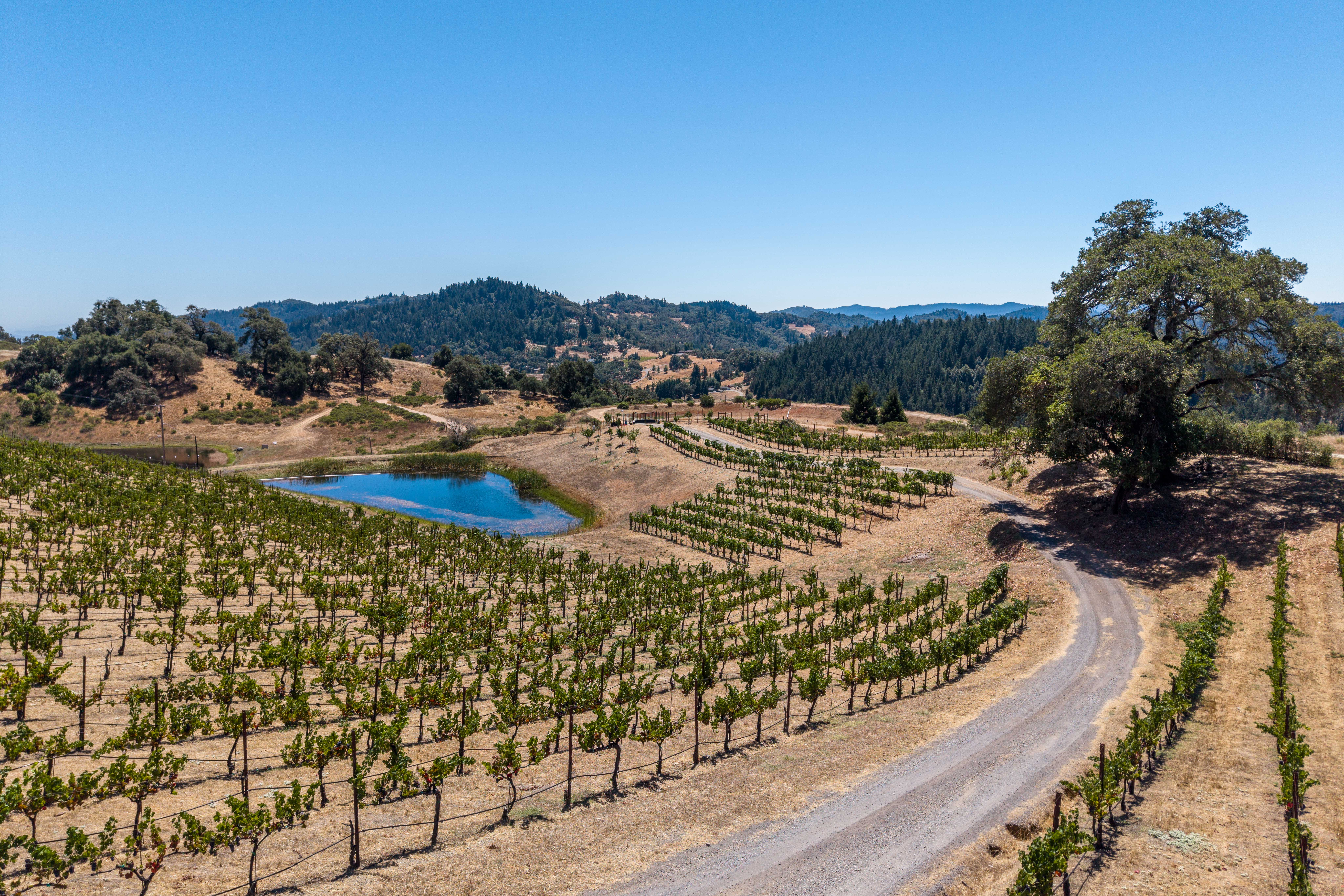  18115 Highlands Ridge Road, Yorkville, CA 95494 - 物件實景