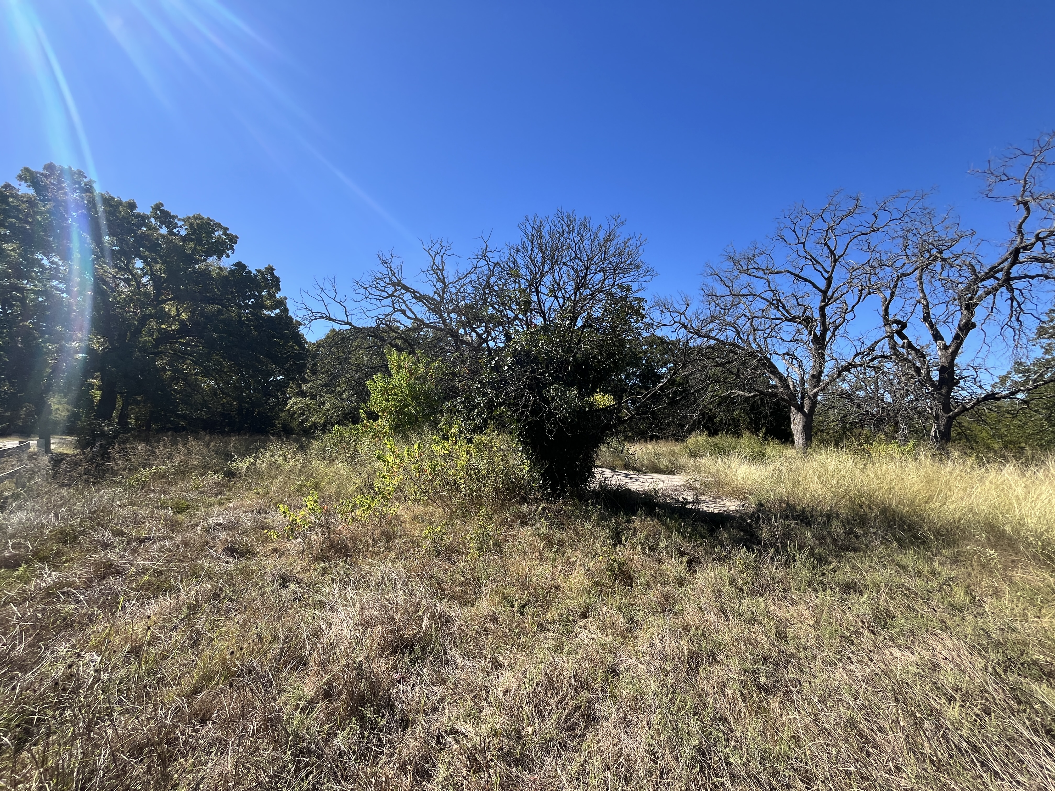 West Tawakoni, Texas, 75474, United States, ,Land,For Sale,1975357