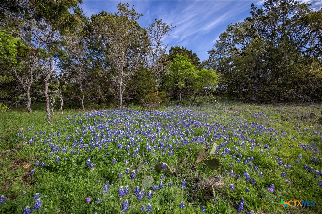 San Marcos, Texas, 78666, United States, ,Land,For Sale,1990898