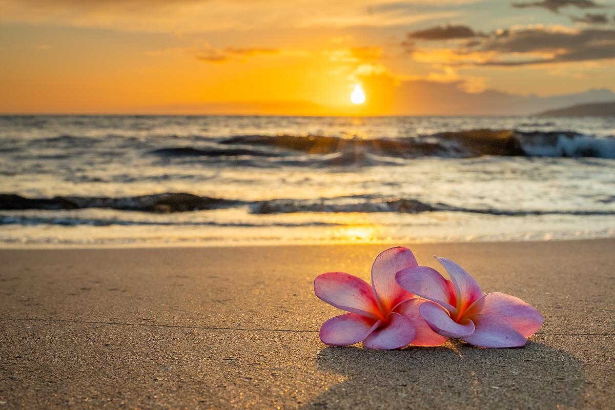 Kihei, Hawaii, 96753, United States, 1 Bedroom Bedrooms, ,1 BathroomBathrooms,Residential,For Sale,1998981