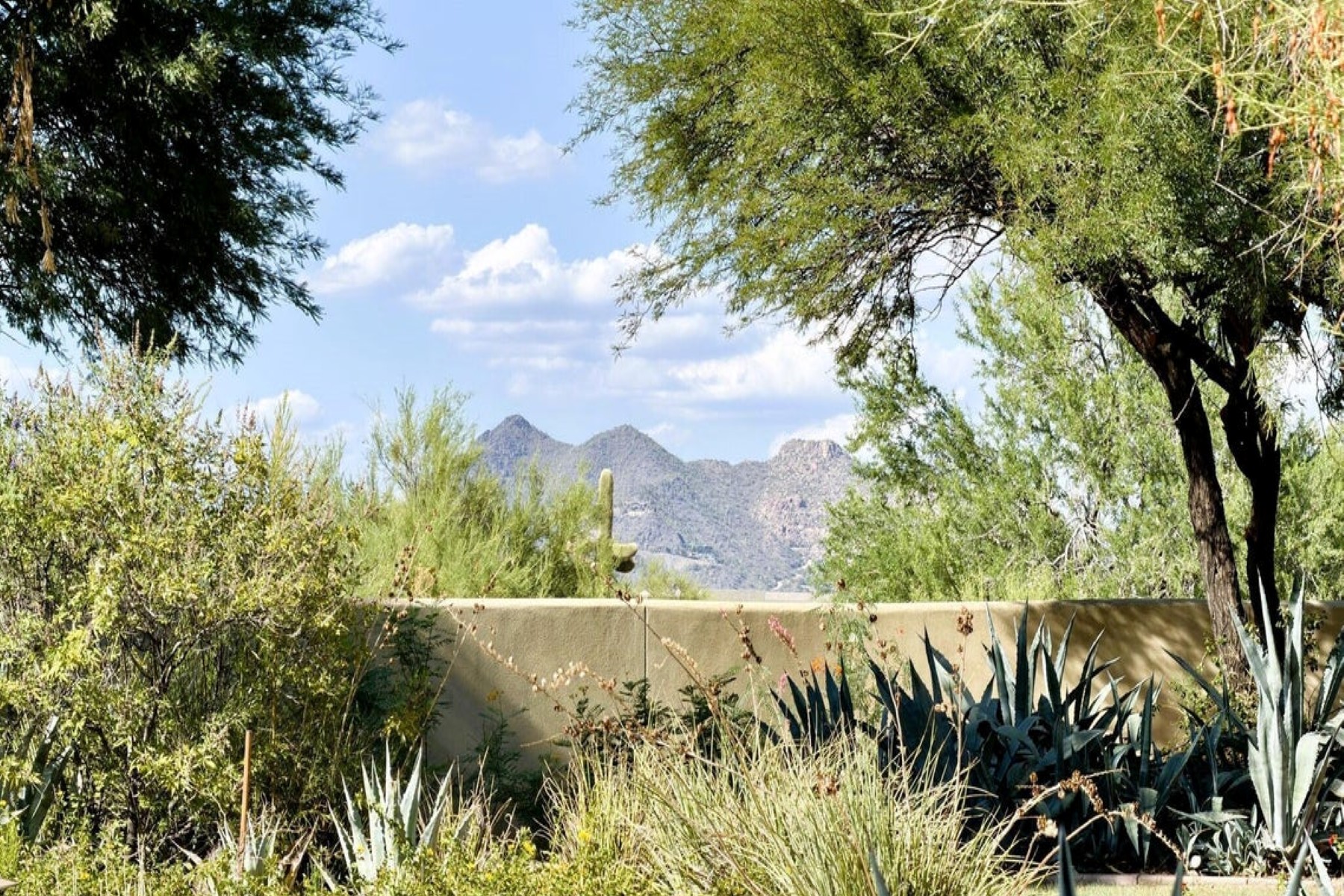  5716 E Milton Drive ¦ Cave Creek, AZ - 物件實景