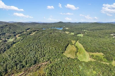 Blairsville, Georgia, 30512, United States, ,Land,For Sale,1933654
