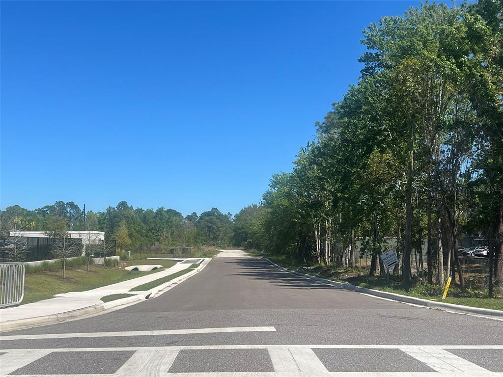 Orlando, Florida, 32826, United States, ,Land,For Sale,1913506