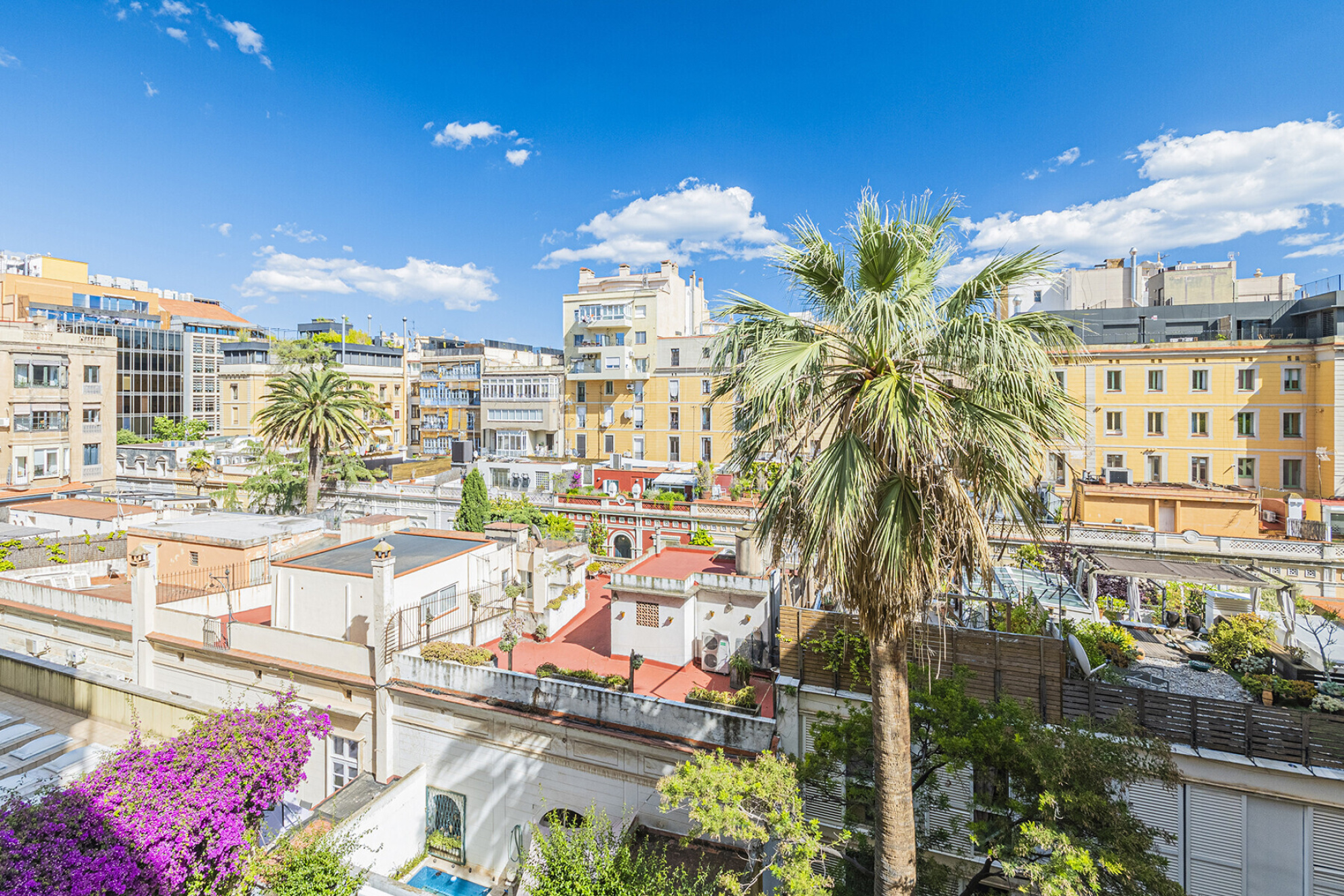  Luxury exterior apartment with exceptional renovation next to Passeig de Gràcia - 物件實景