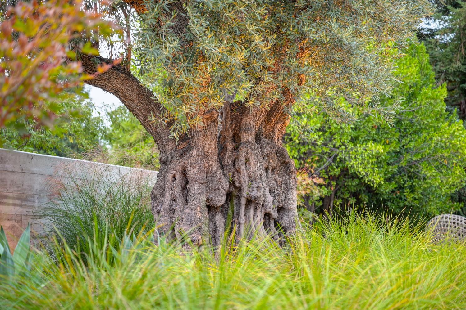 Granite Bay, California, 95746, United States, 4 Bedrooms Bedrooms, ,4 BathroomsBathrooms,Residential,For Sale,1991399