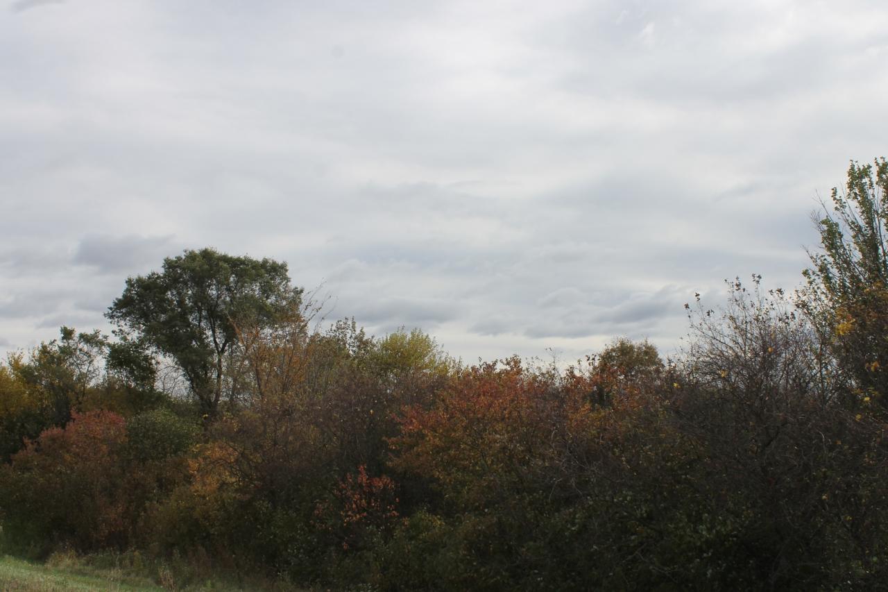 Elburn, Illinois, 60119, United States, ,Land,For Sale,1900855