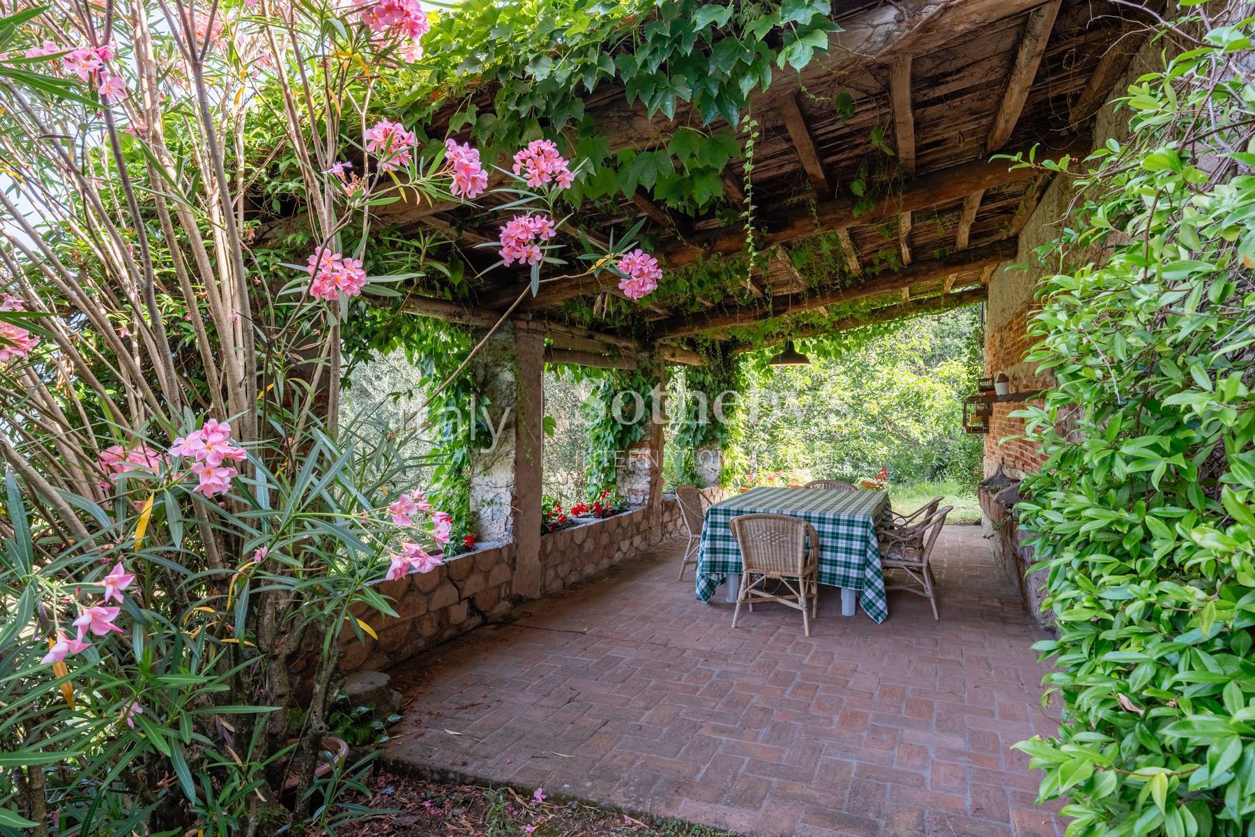  Ancient country villa on the hills of Lucca - 物件實景