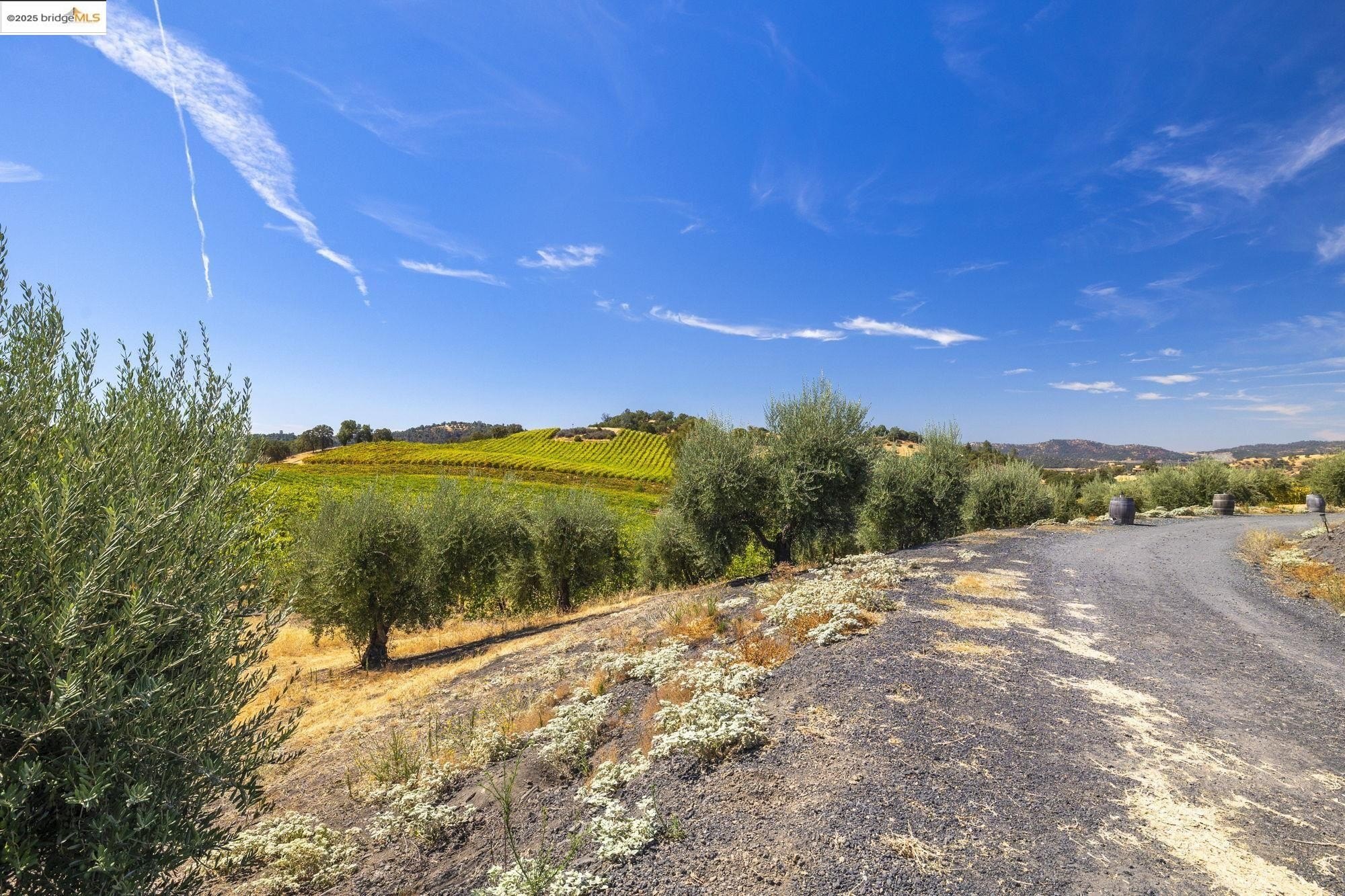 Murphys, California, 95247, United States, ,Land,For Sale,1975931