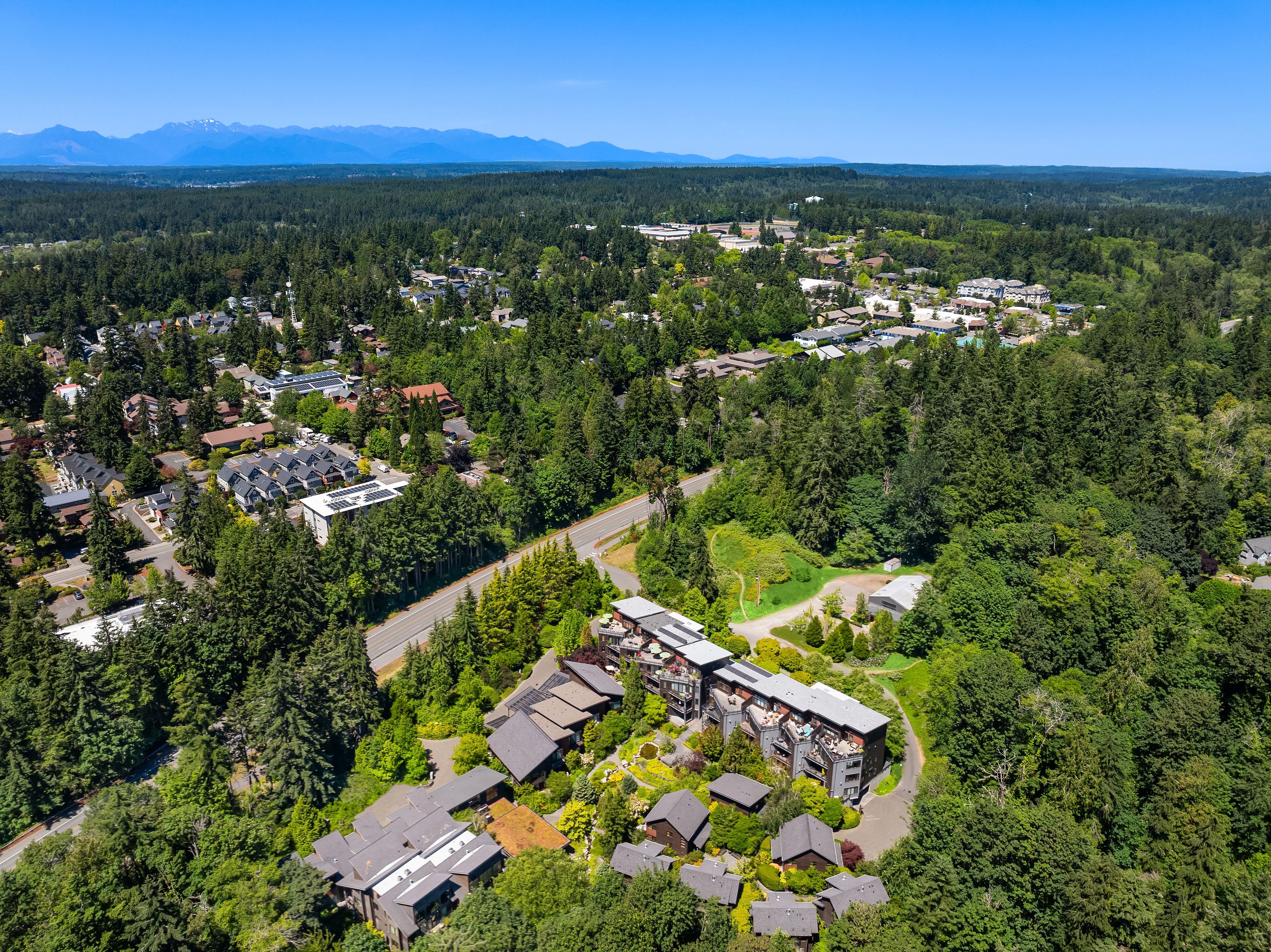  620 Northeast Vineyard Lane B-203, Bainbridge Island, WA 98110 - 物件實景