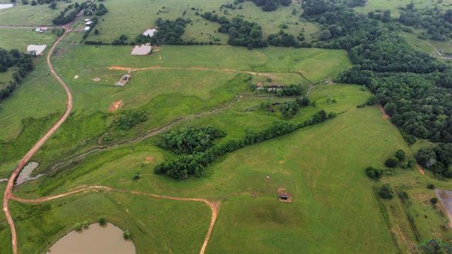 Henderson, Texas, 75654, United States, ,Land,For Sale,1865507