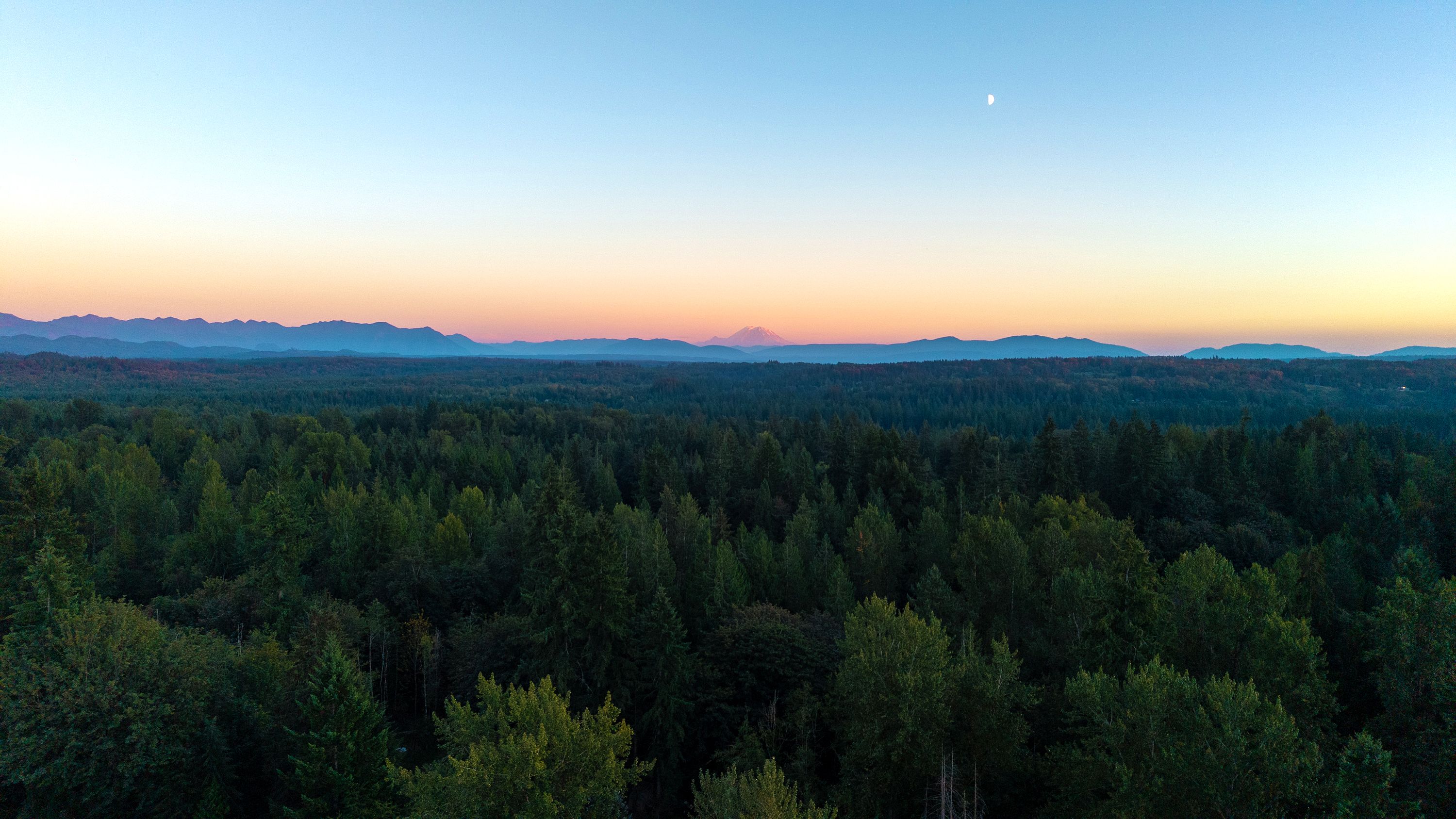  Mountain Glen Ranch  A Distinctive Northwest Estate with Montana Soul - 物件實景