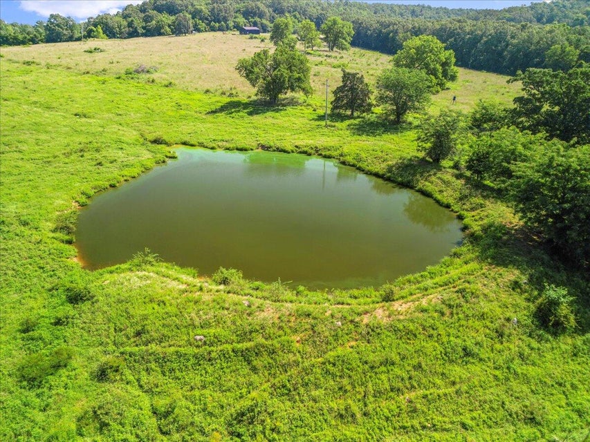 Udall, Missouri, 65766, United States, ,Land,For Sale,1984172