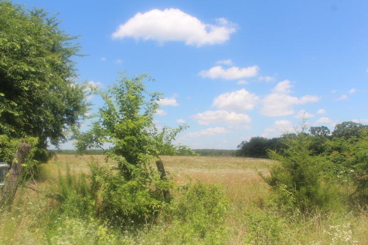 Polk, Missouri, 65727, United States, ,Land,For Sale,1980569