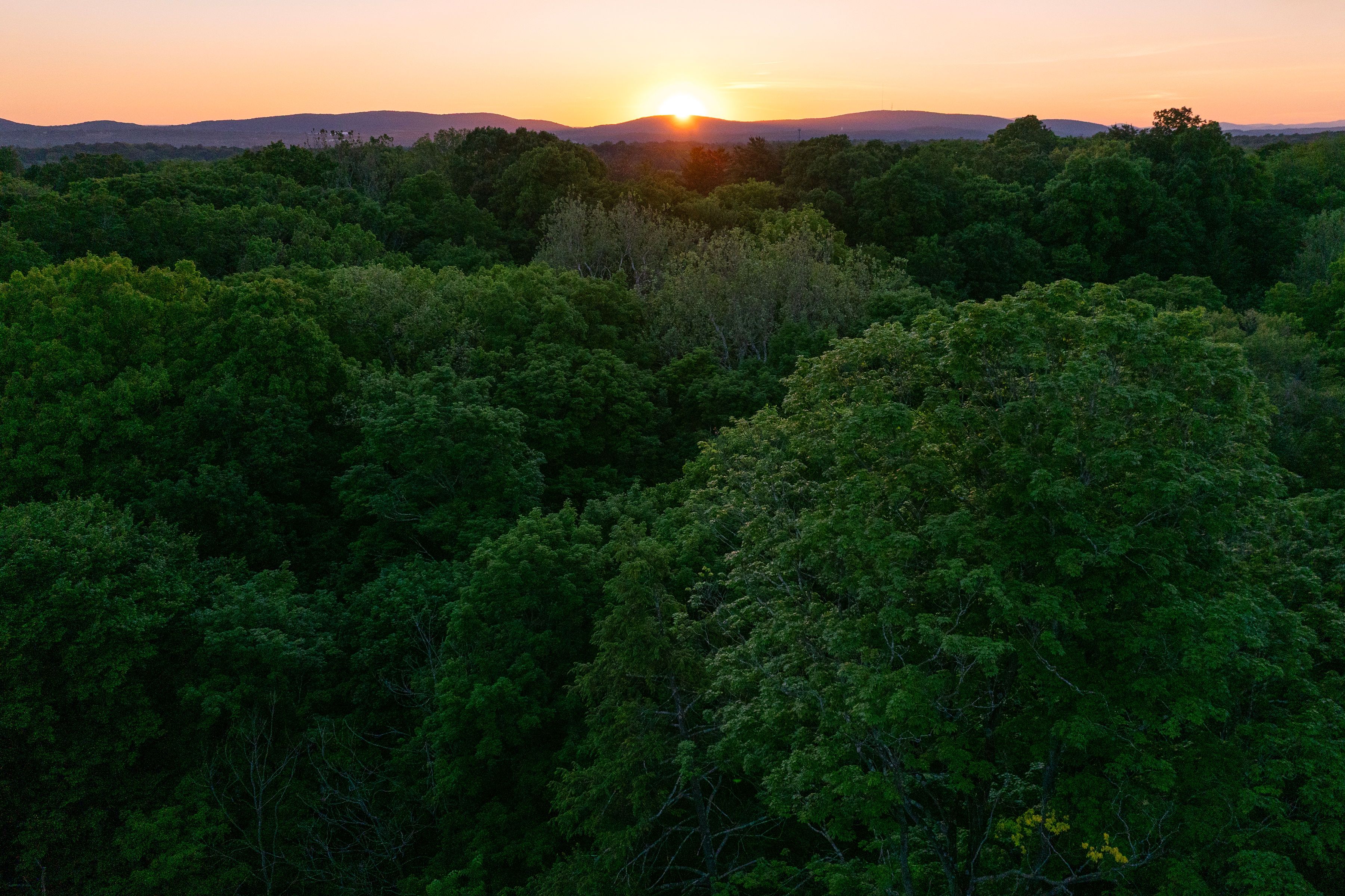  45 Cliffdale Court, Poughkeepsie, NY 12603 - 物件實景