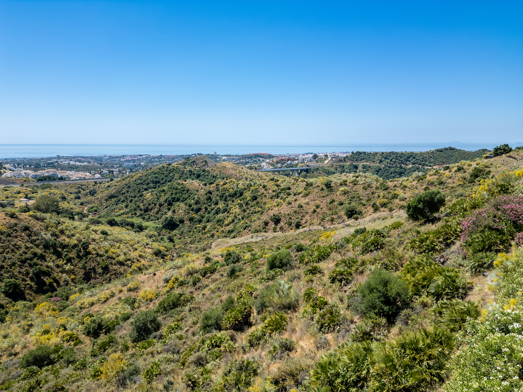  Exceptional development opportunity in El Real de La Quinta - 物件實景