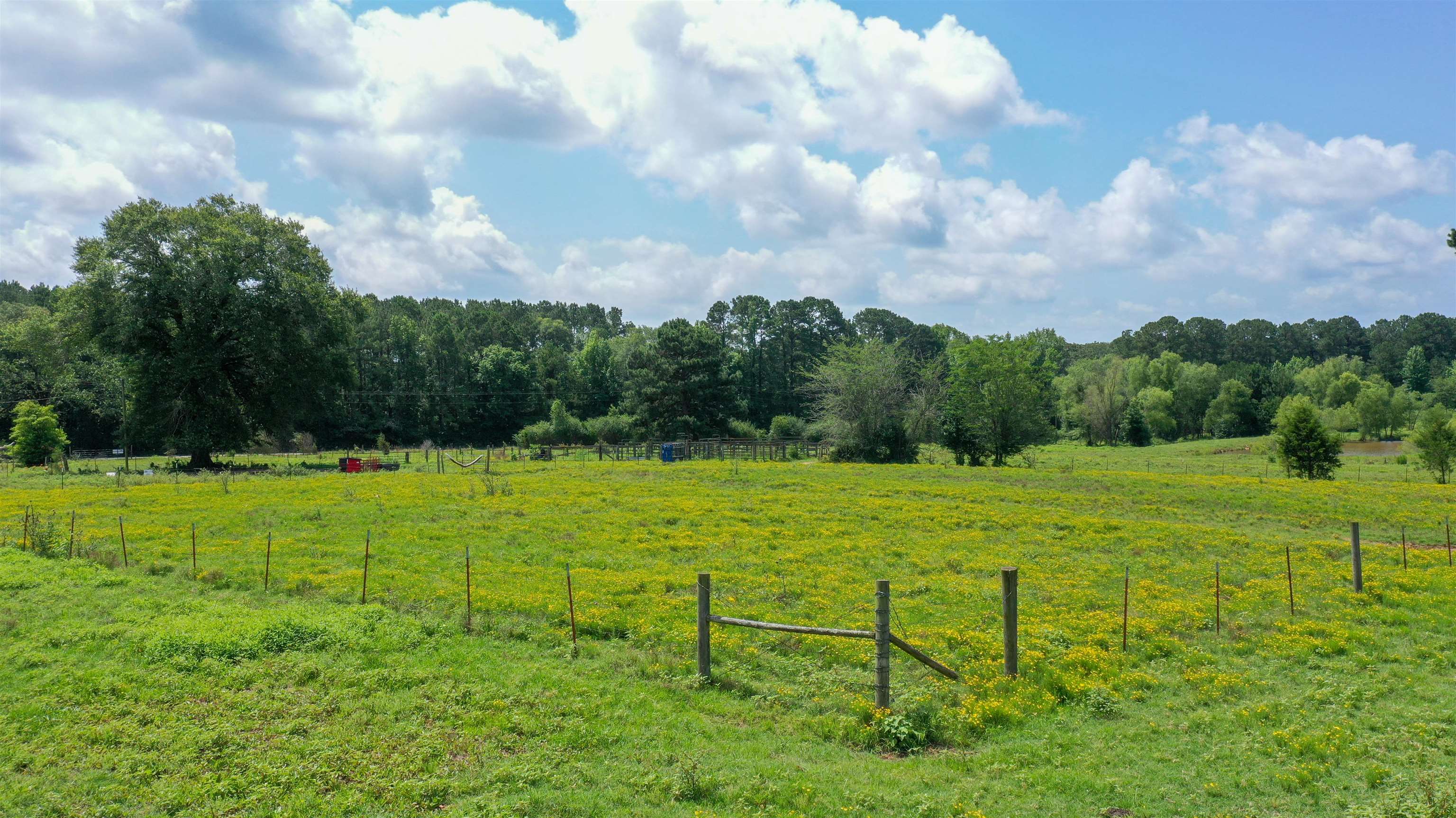 Linden, Texas, 75563, United States, ,Land,For Sale,1975448