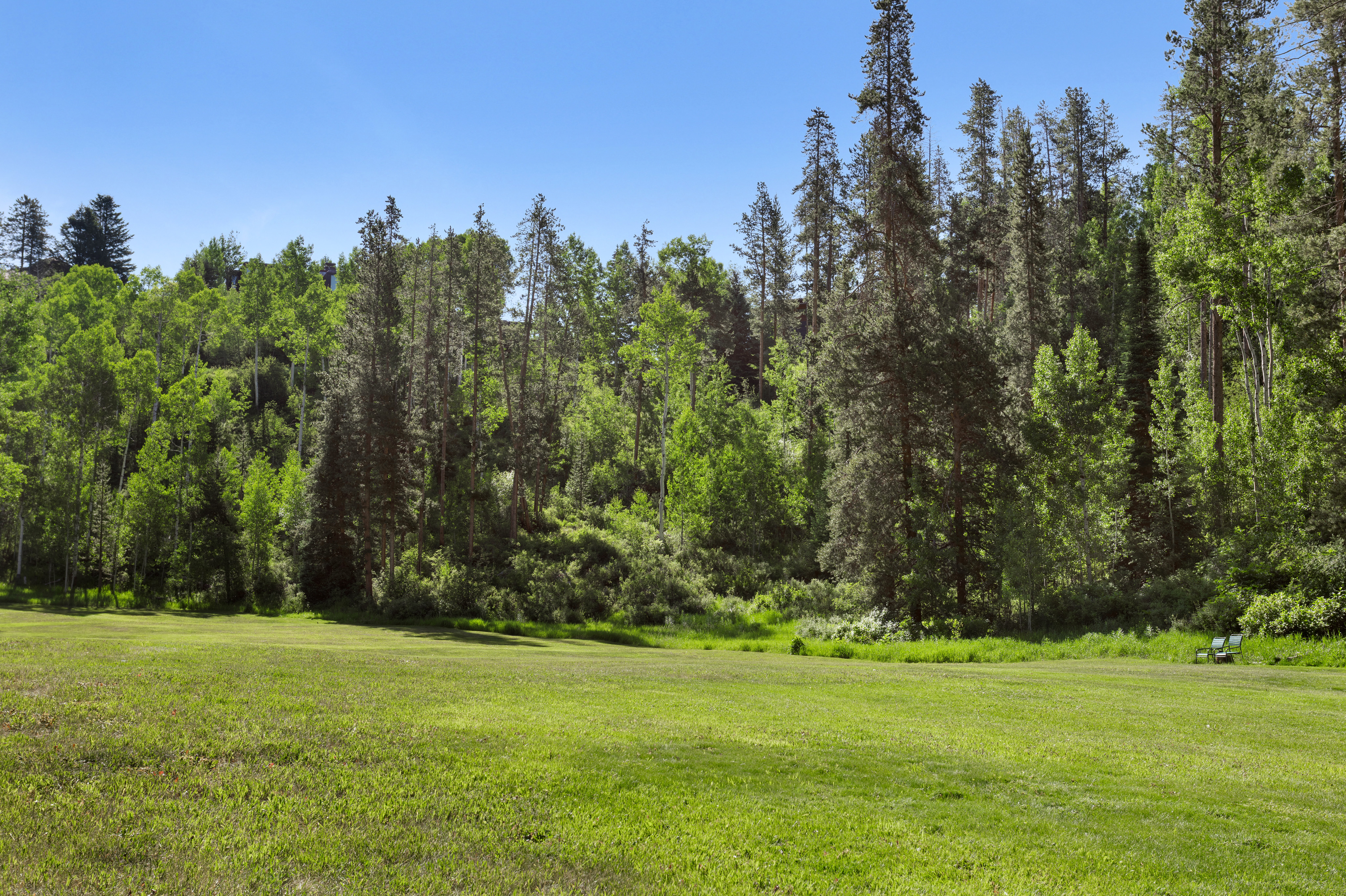  Open Acres in Genuinely Tranquil Alpine Setting that is Hard to Come by in Vail - 物件實景