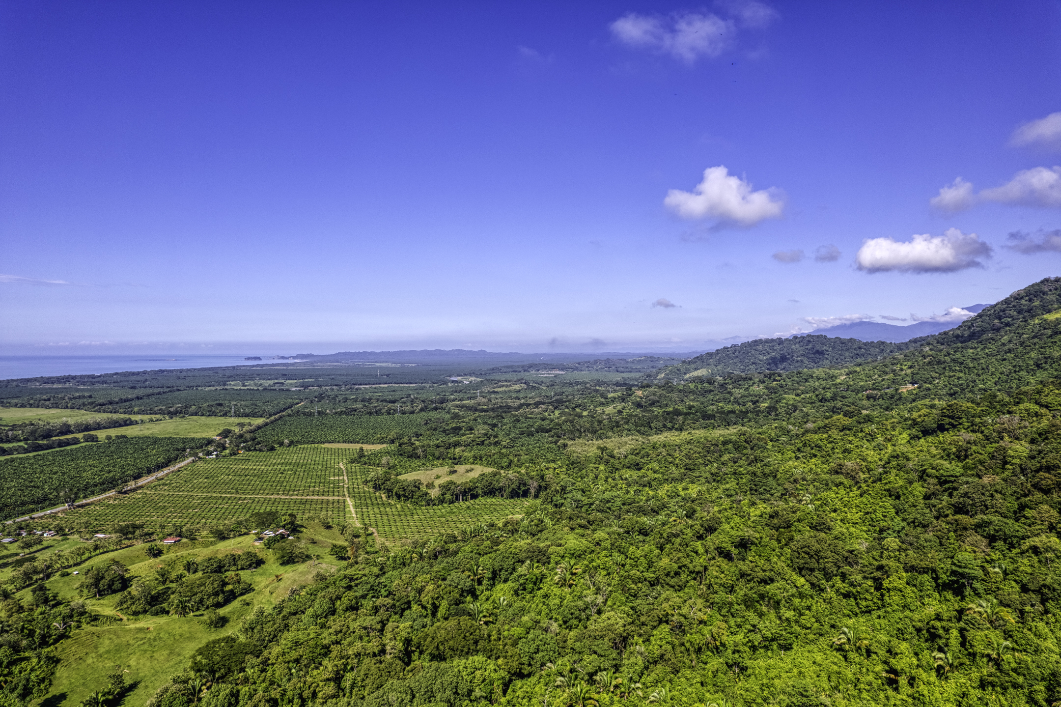 Portalon, Dominical, Puntarenas, CR, ,Land,For Sale,Portalon,1586164