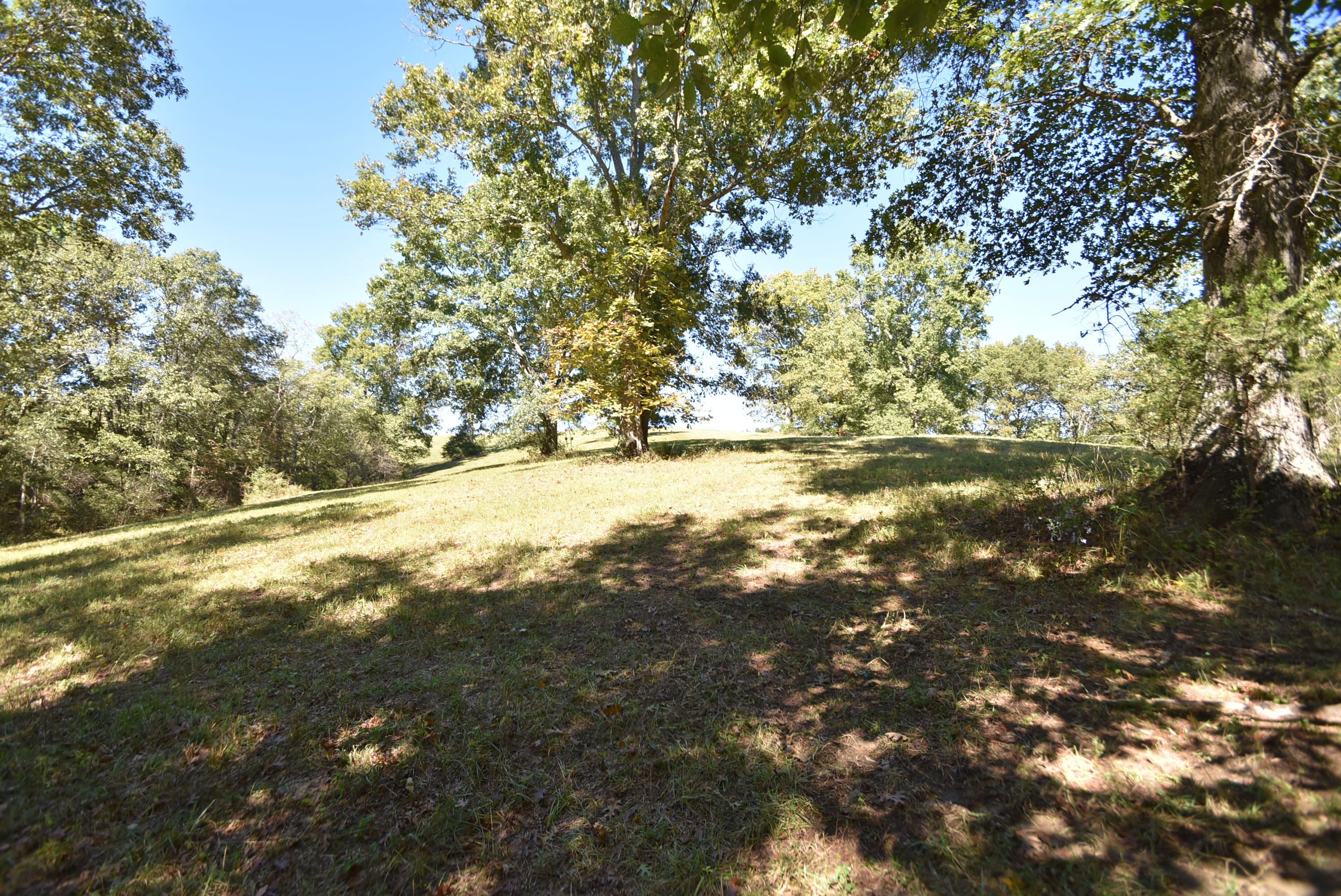 Willisburg, Kentucky, 40078, United States, 4 Bedrooms Bedrooms, ,1 BathroomBathrooms,Residential,For Sale,1962831